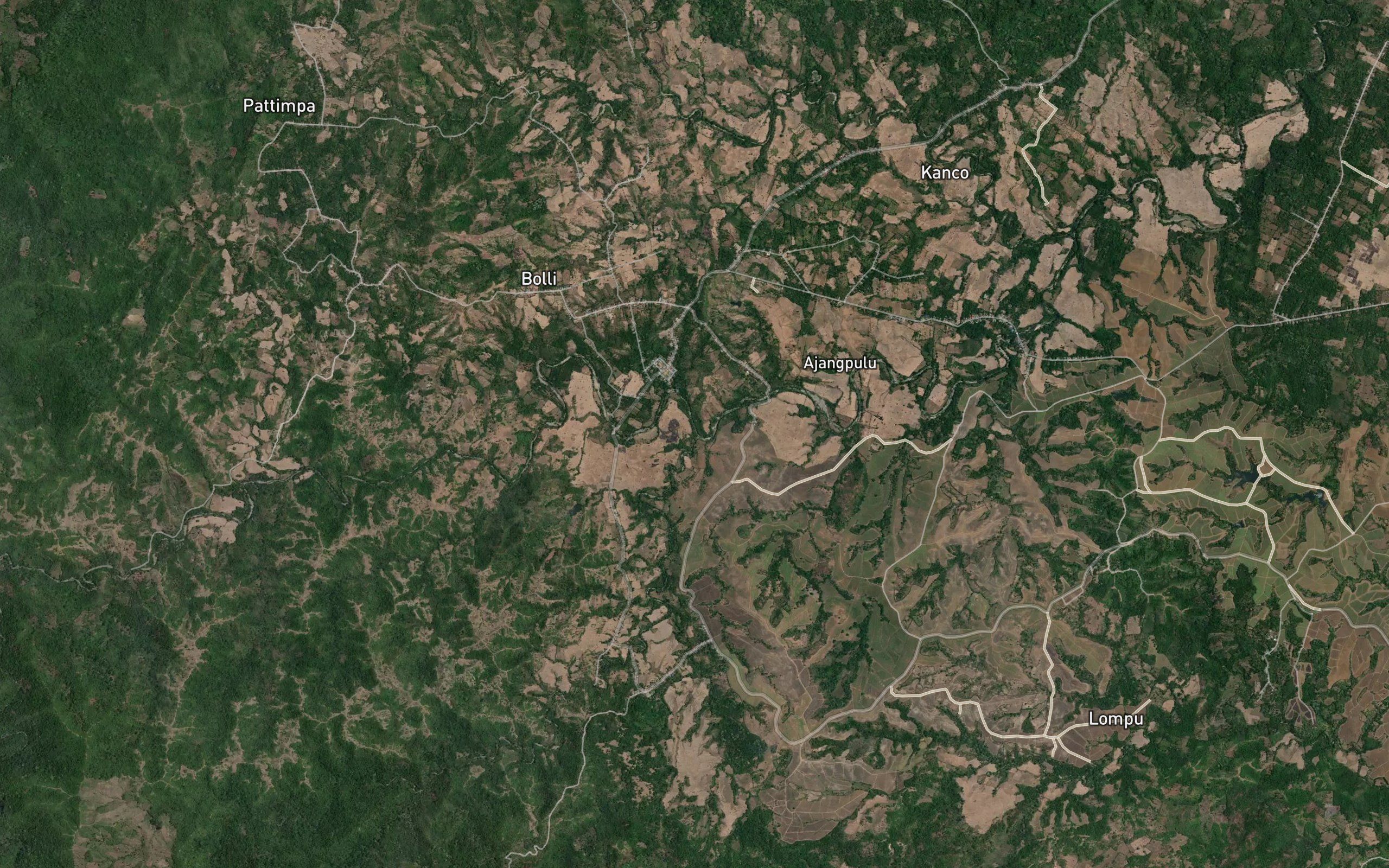Salo Lonrong