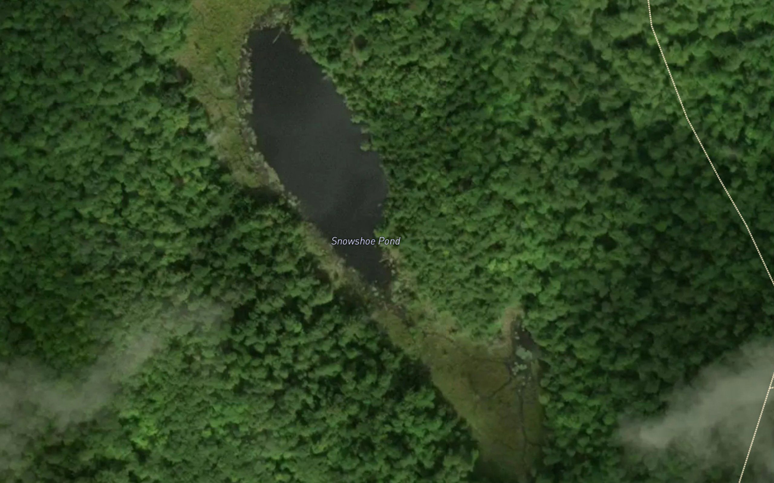 Snowshoe Pond