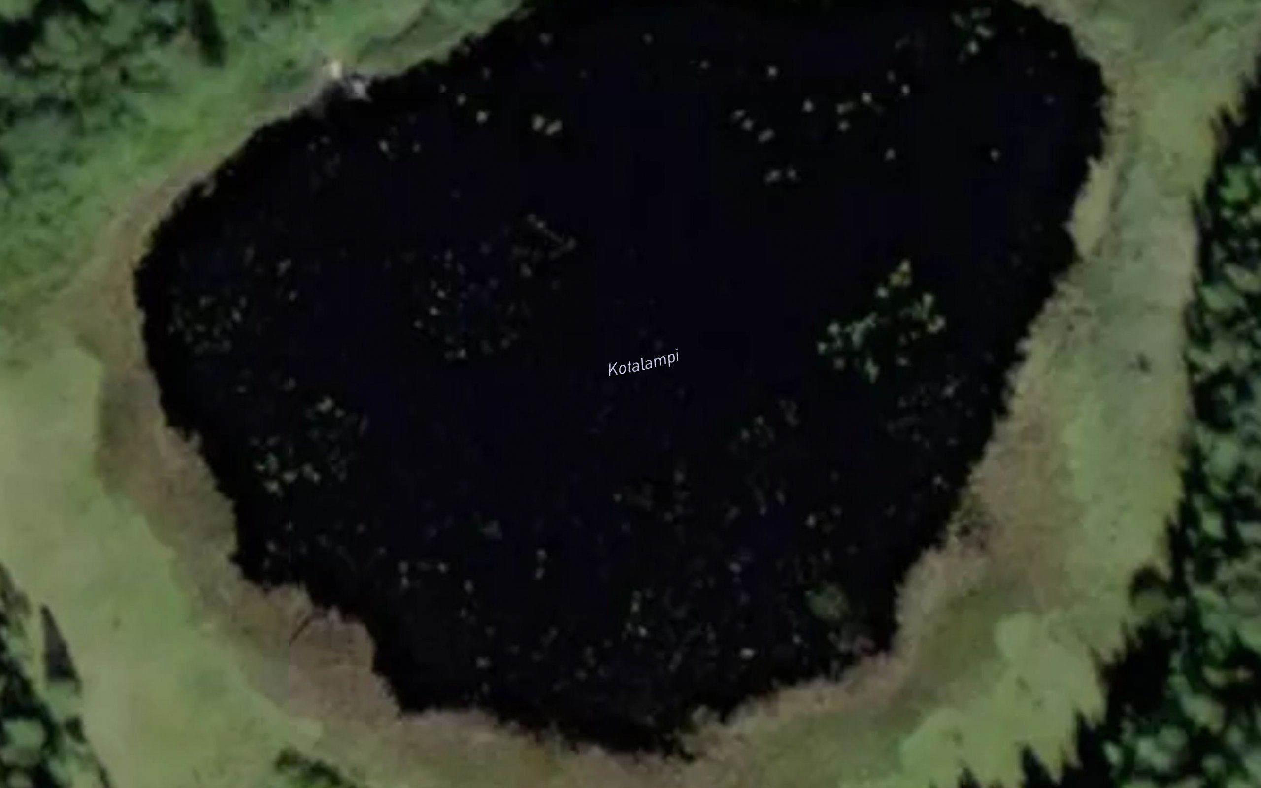 Kotalampi