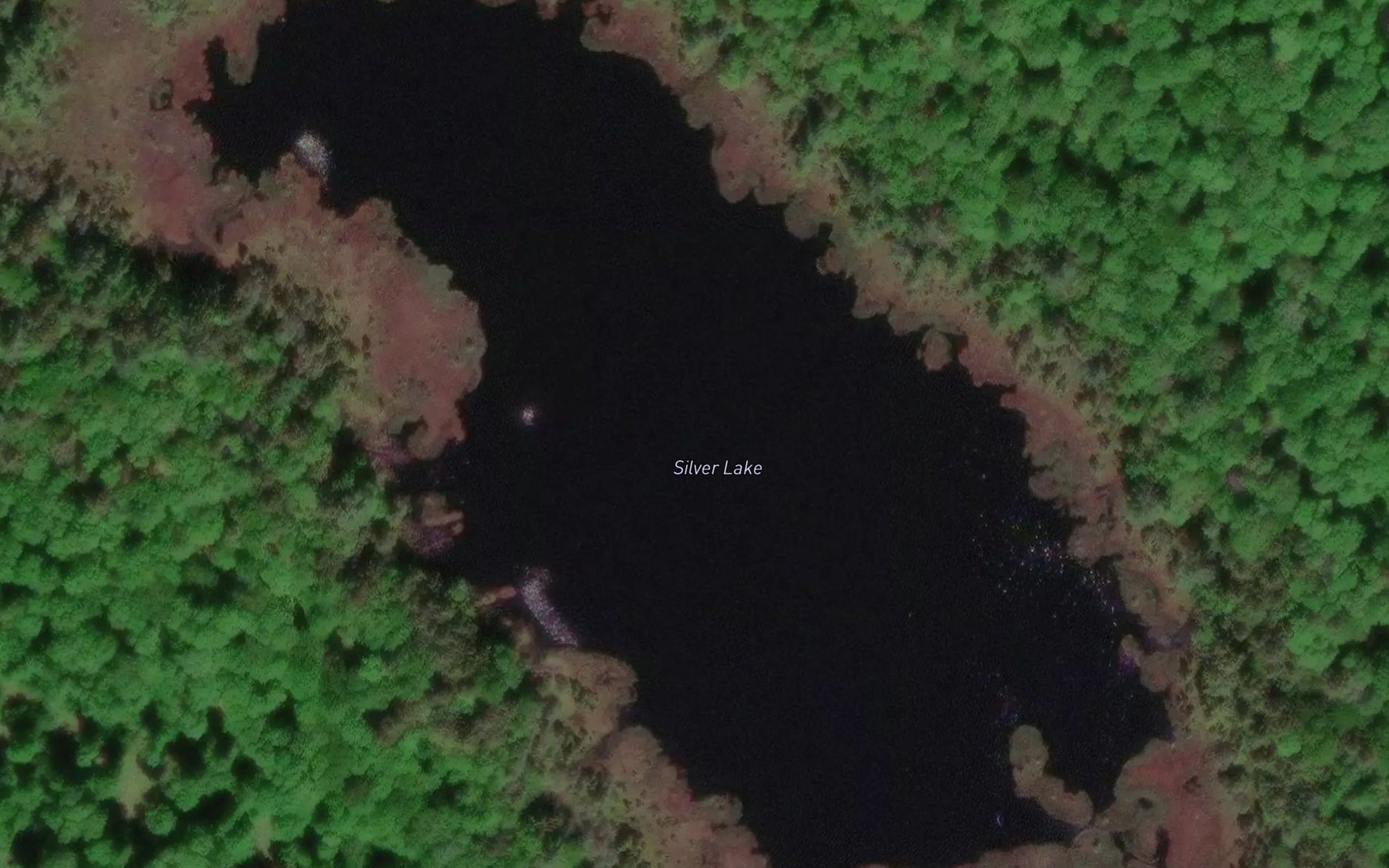Satellite map of the Silver Lake