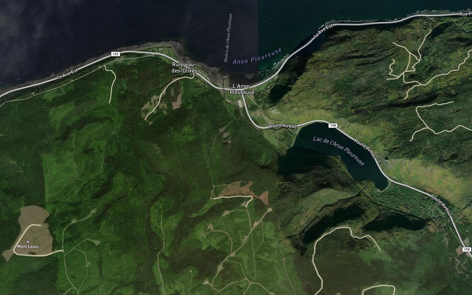 Satellite map of the Coulee a Roland