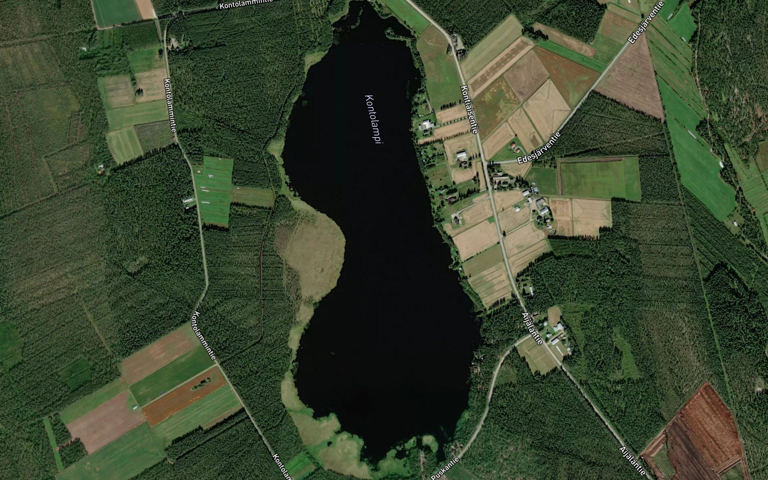 Kontolampi
