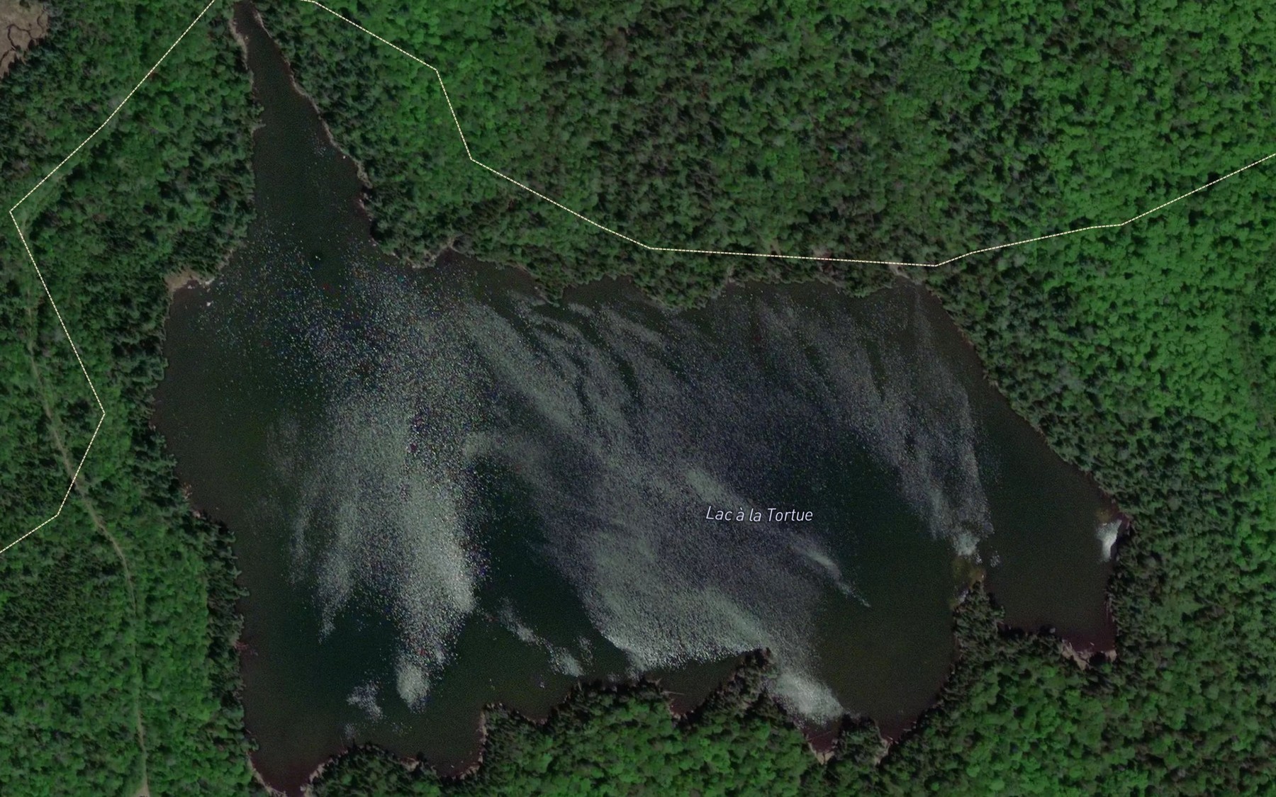 Satellite map of the Lac a la Tortue