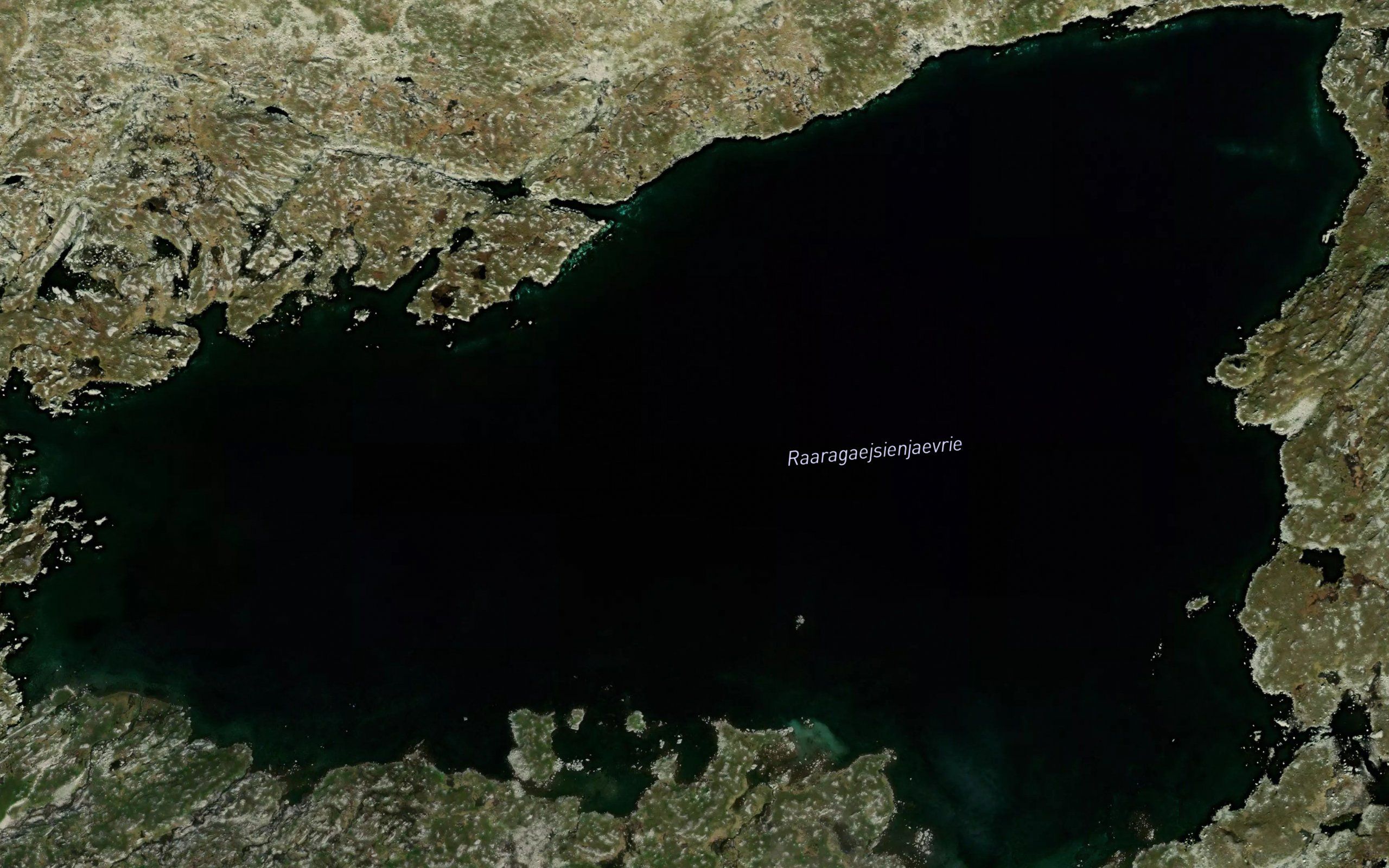 Raragaisenjaure