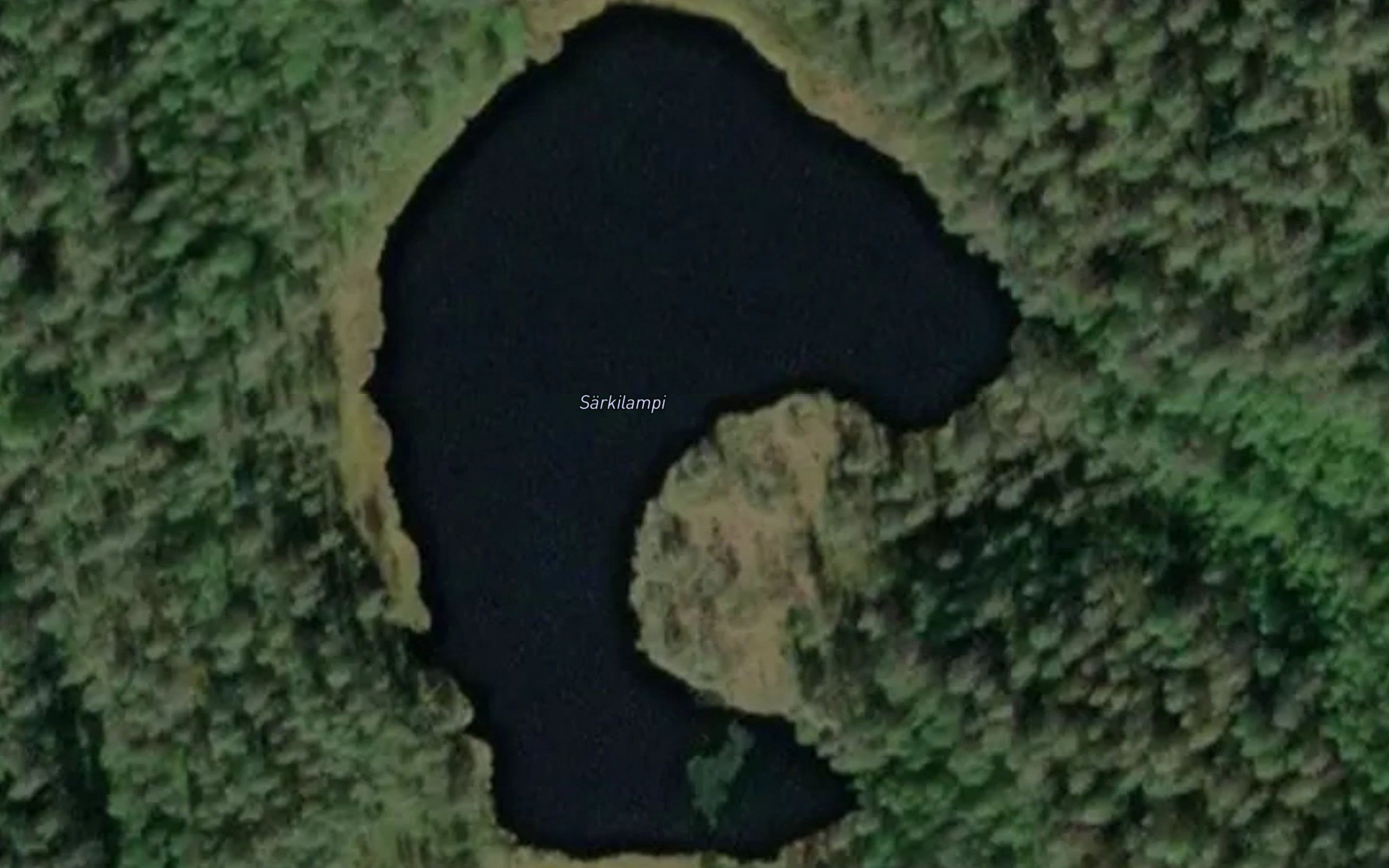 Sarkilampi