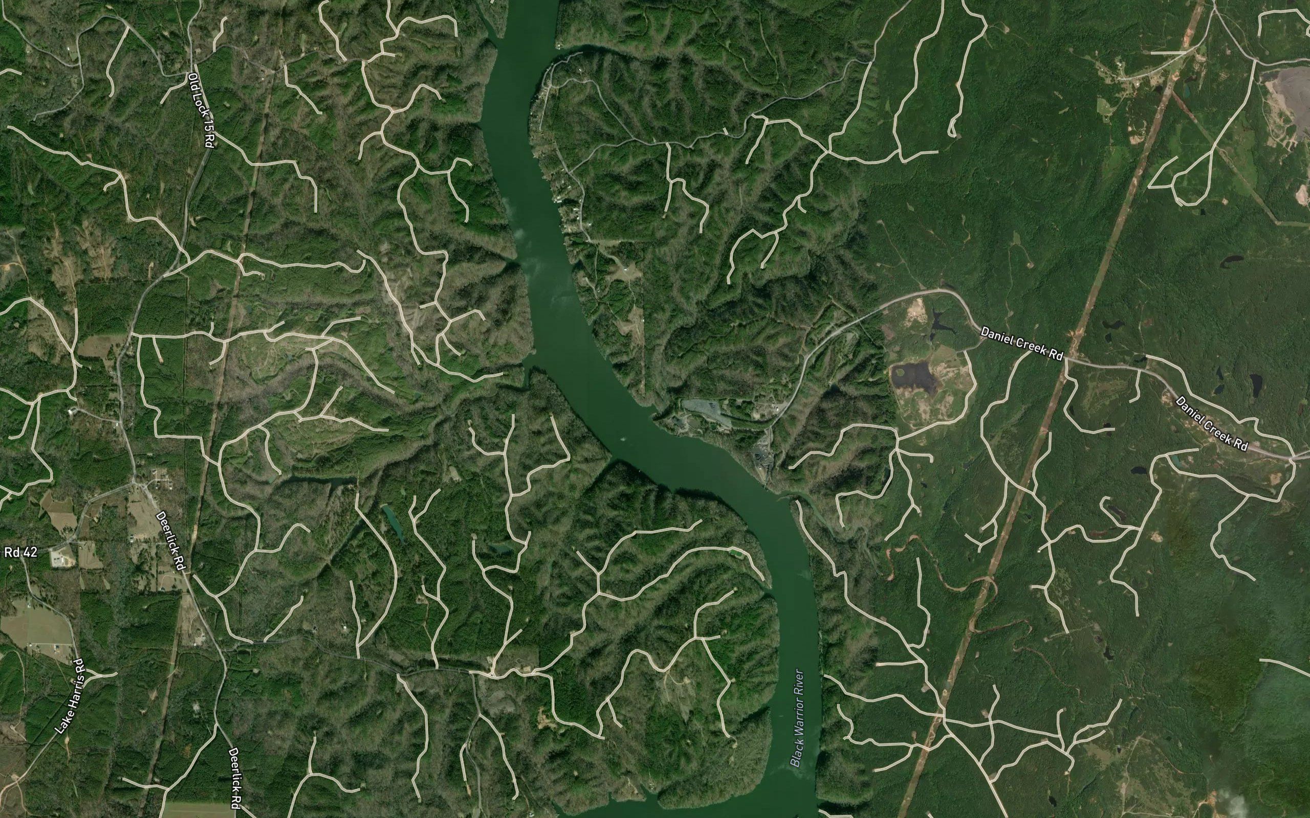 Bluff Creek