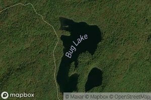Bug Lake