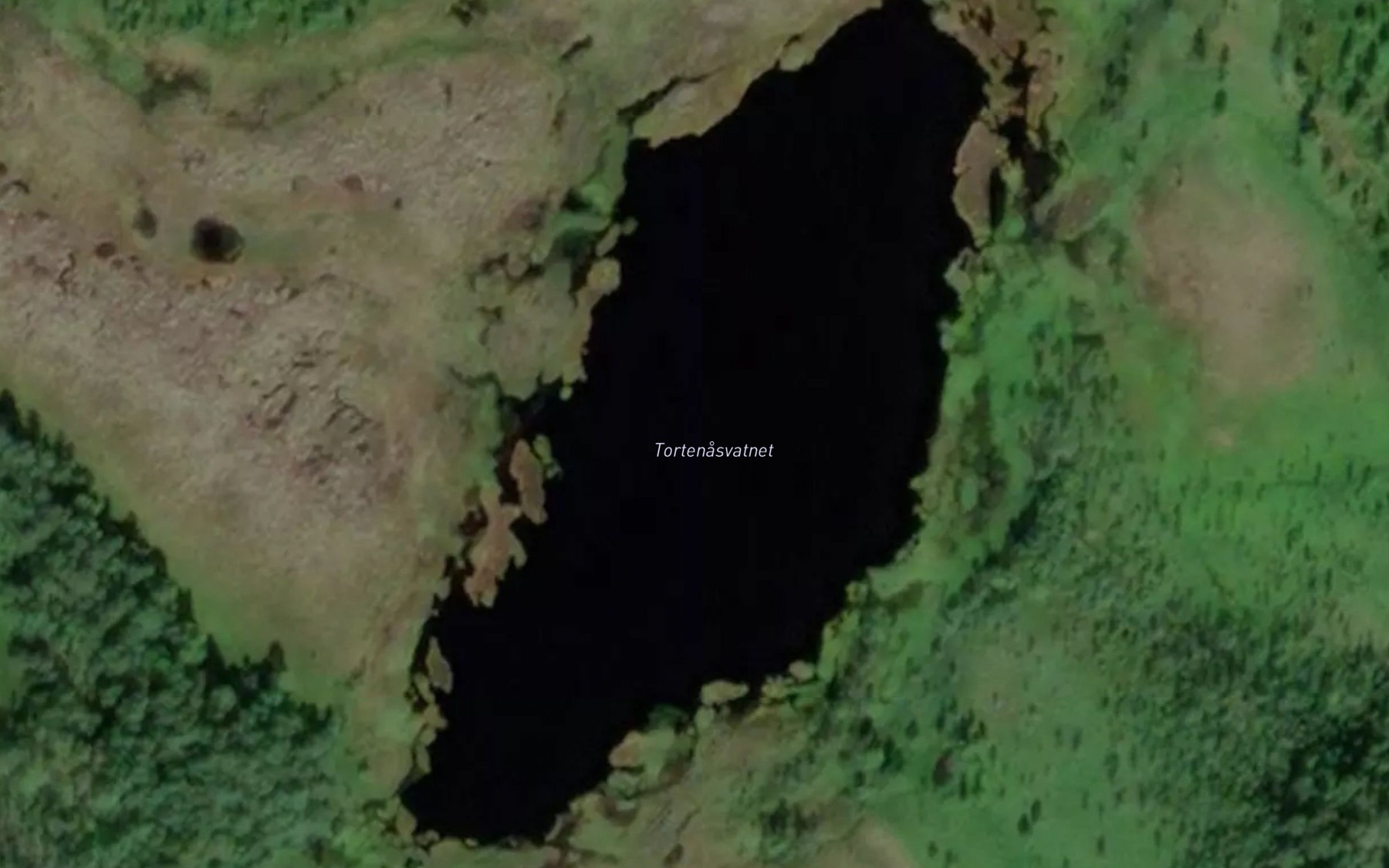 Satellite map of the Tortenasvatnet