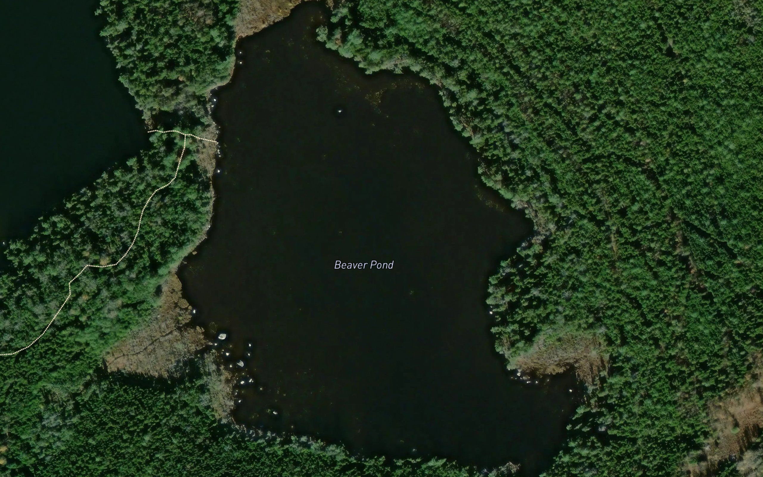 Beaver Pond