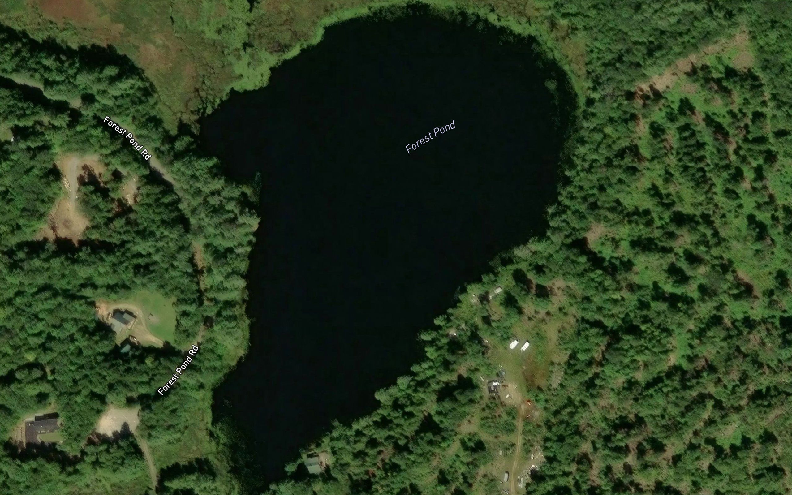 Forest Pond