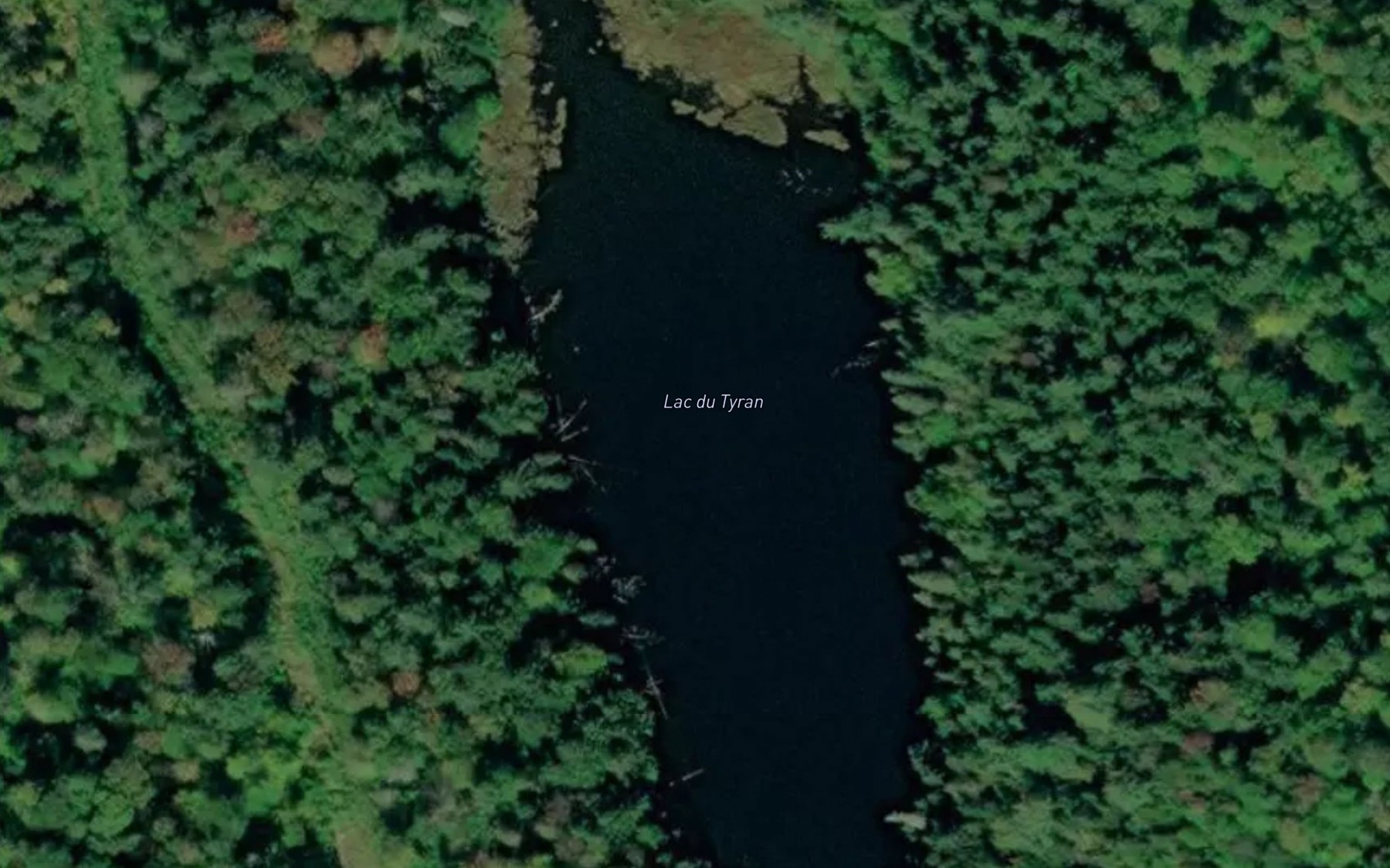 Satellite map of the Lac du Tyran