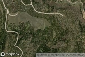 Taylor Tank and Spring