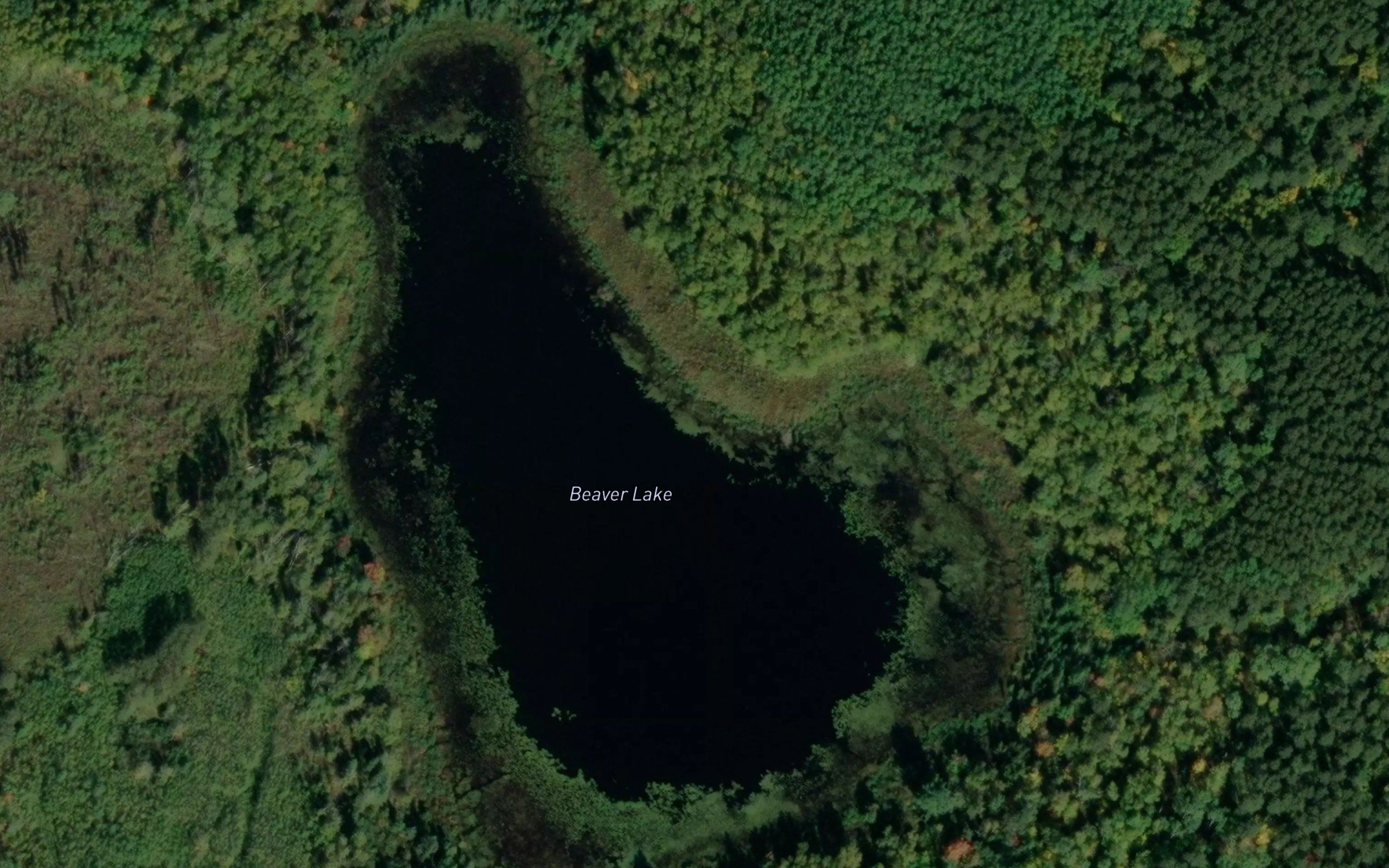 Beaver Lake