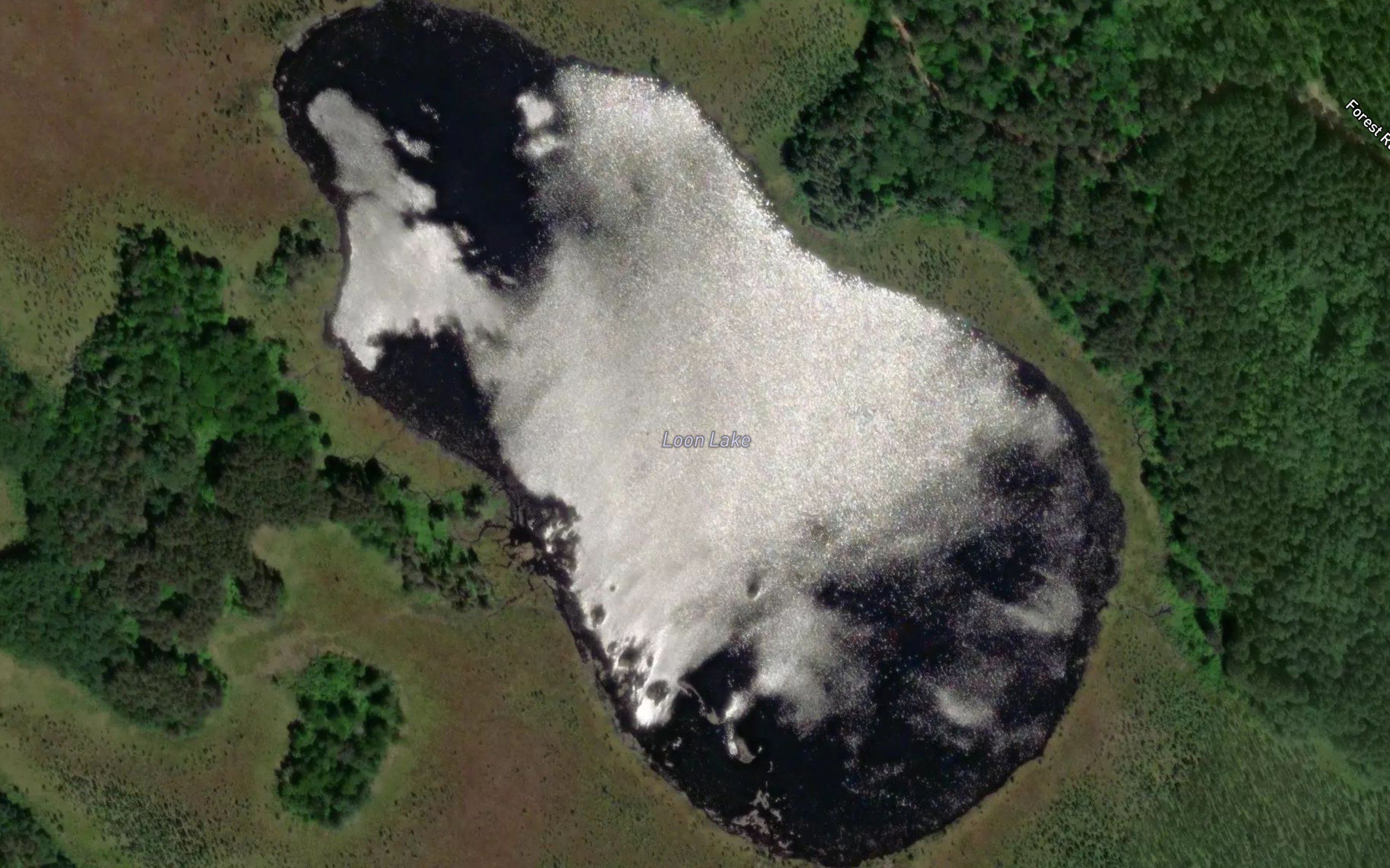 Loon Lake