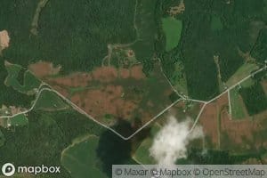 Mason Spring