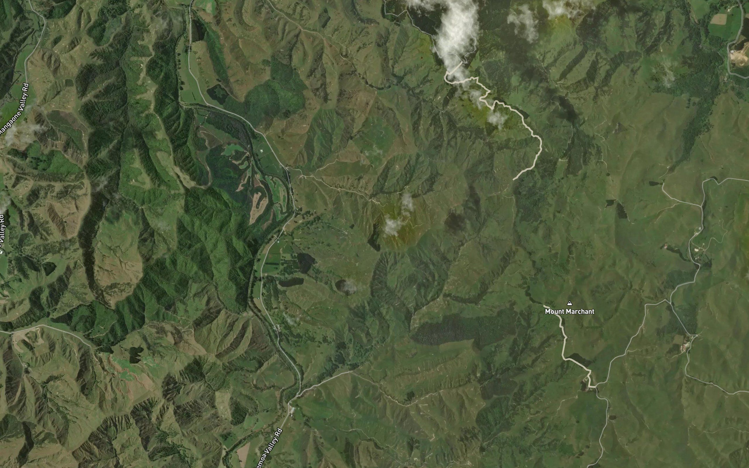Puketi Creek