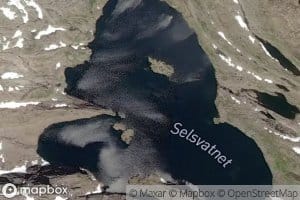 Selsvatnet