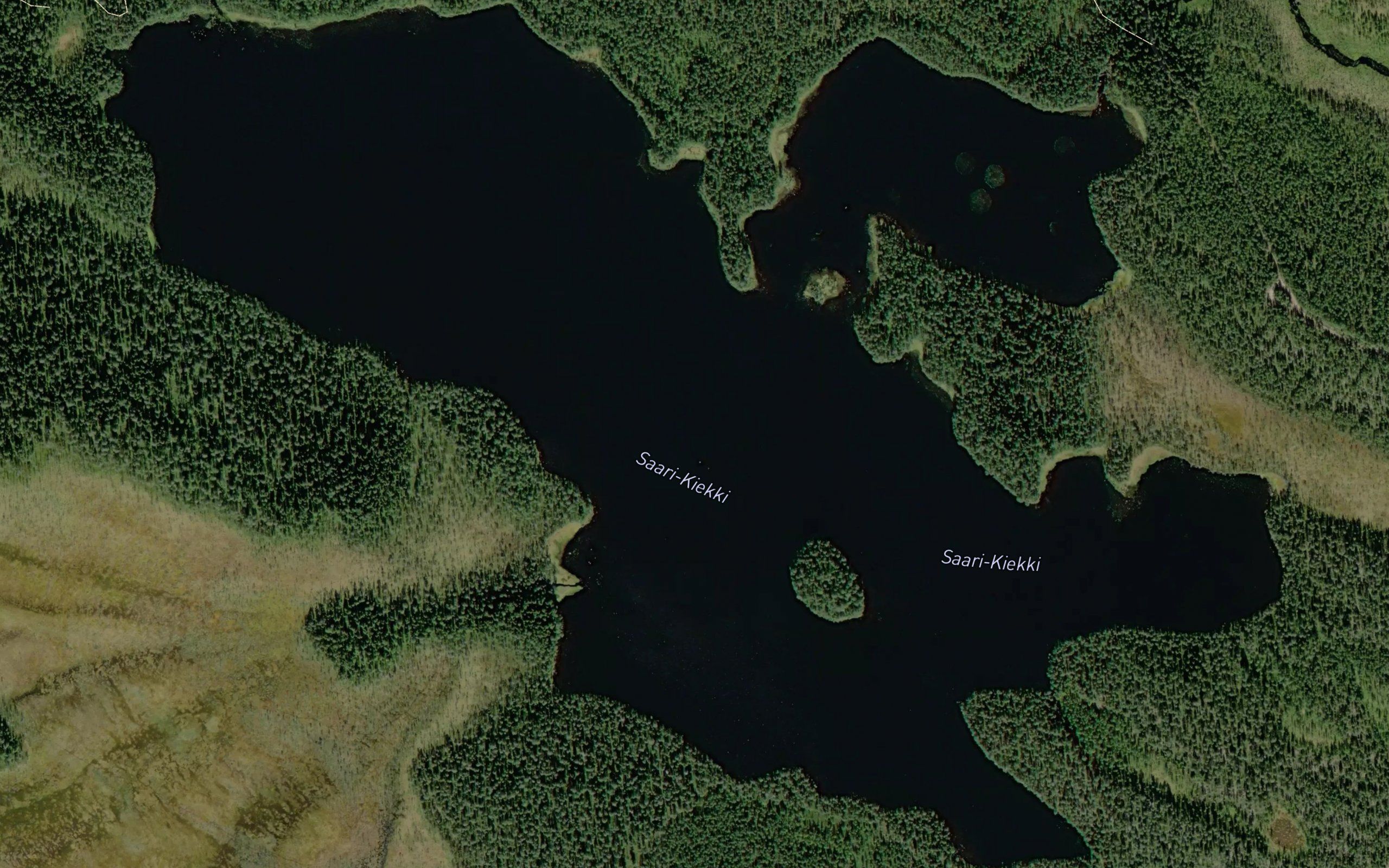 Saarikiekki