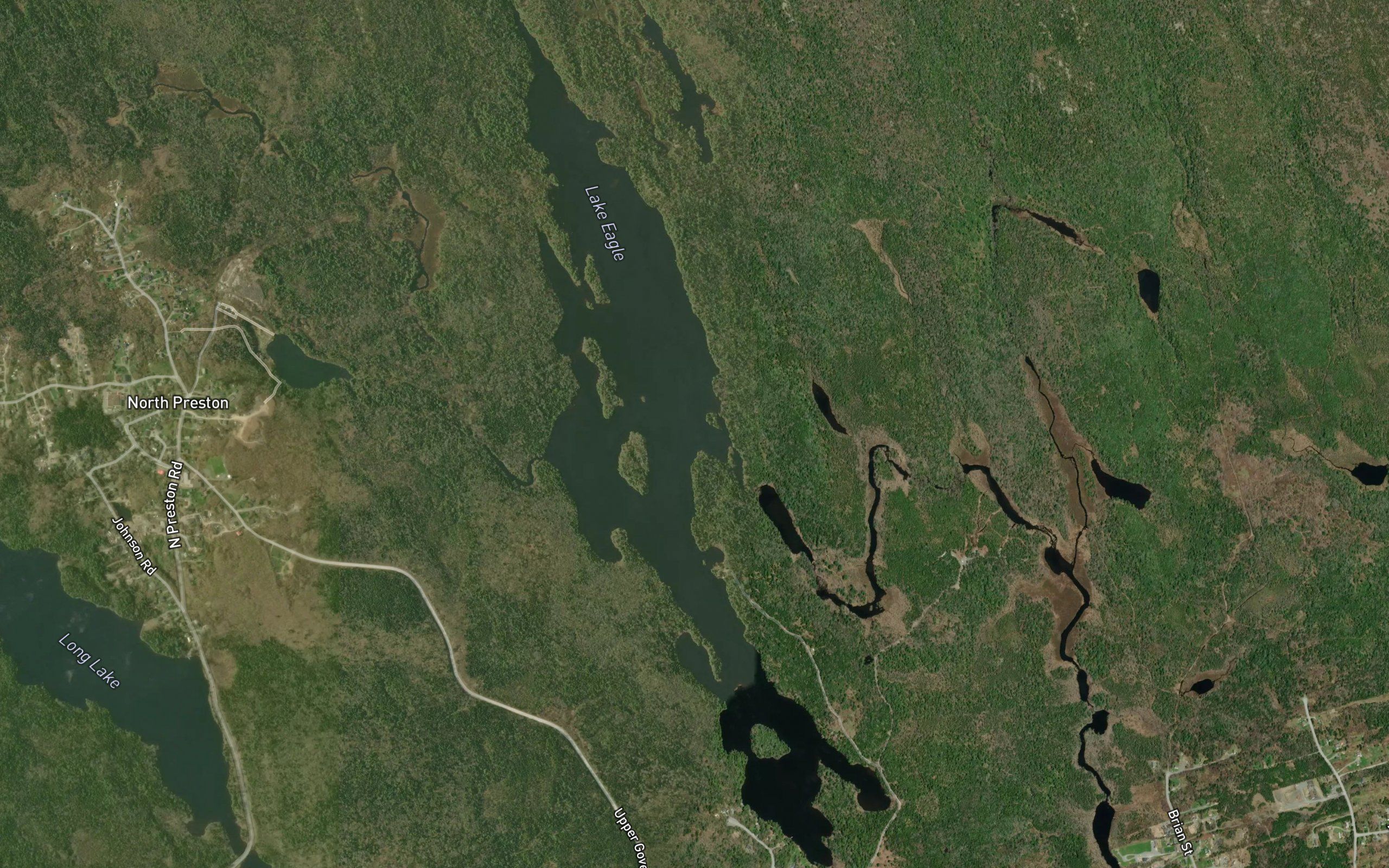 Lake Eagle
