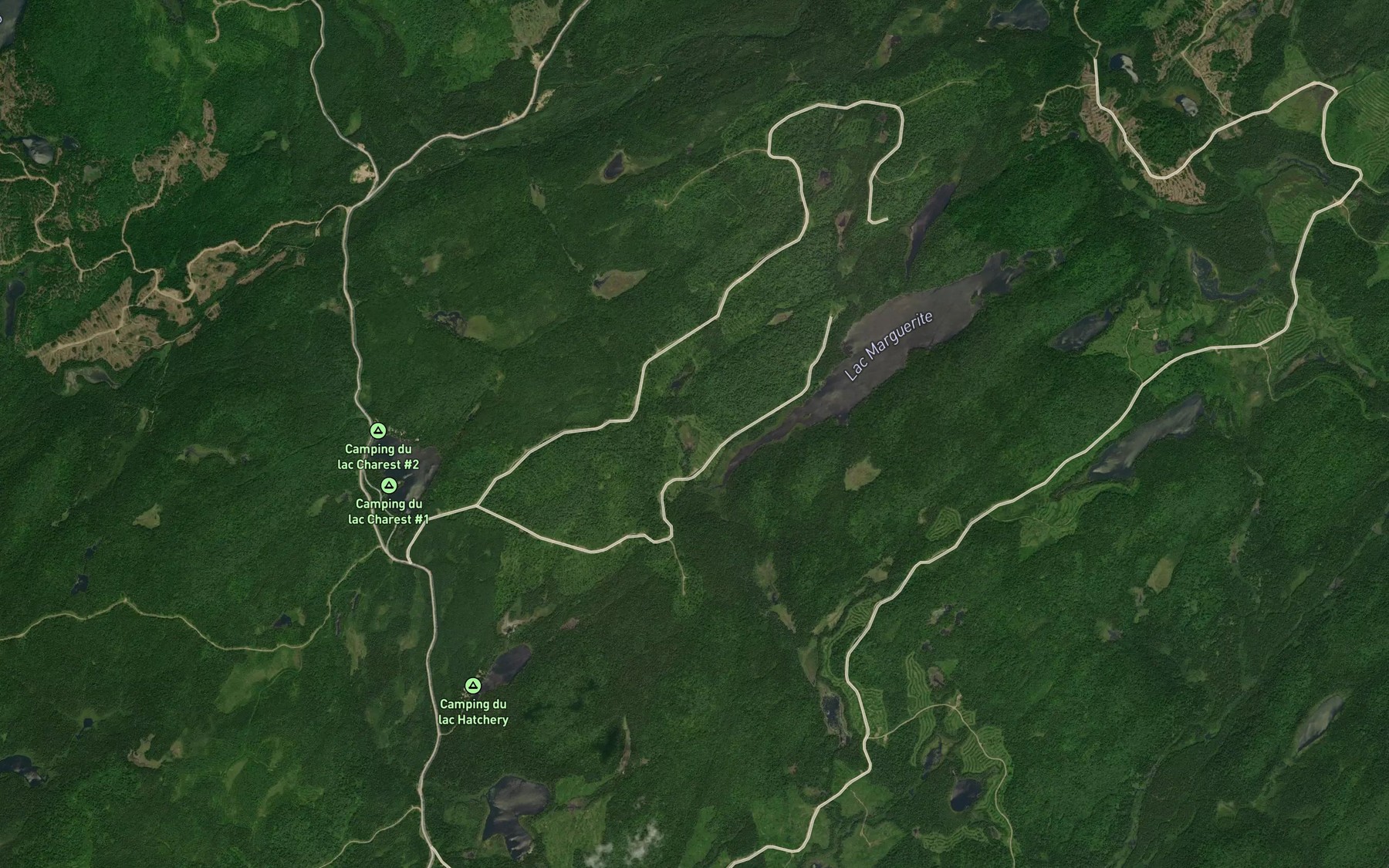Satellite map of the Lac Cousineau