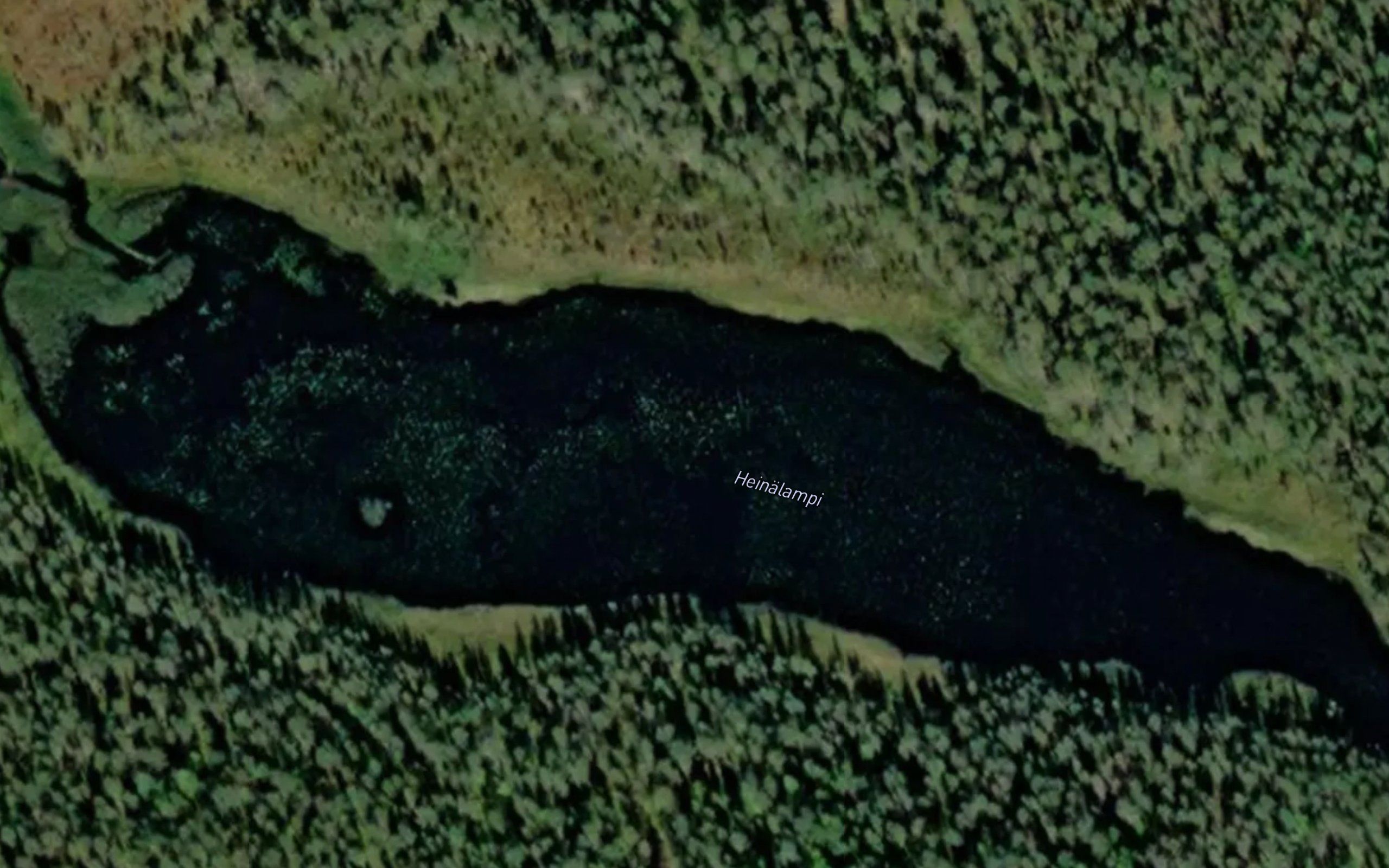 Heinalampi