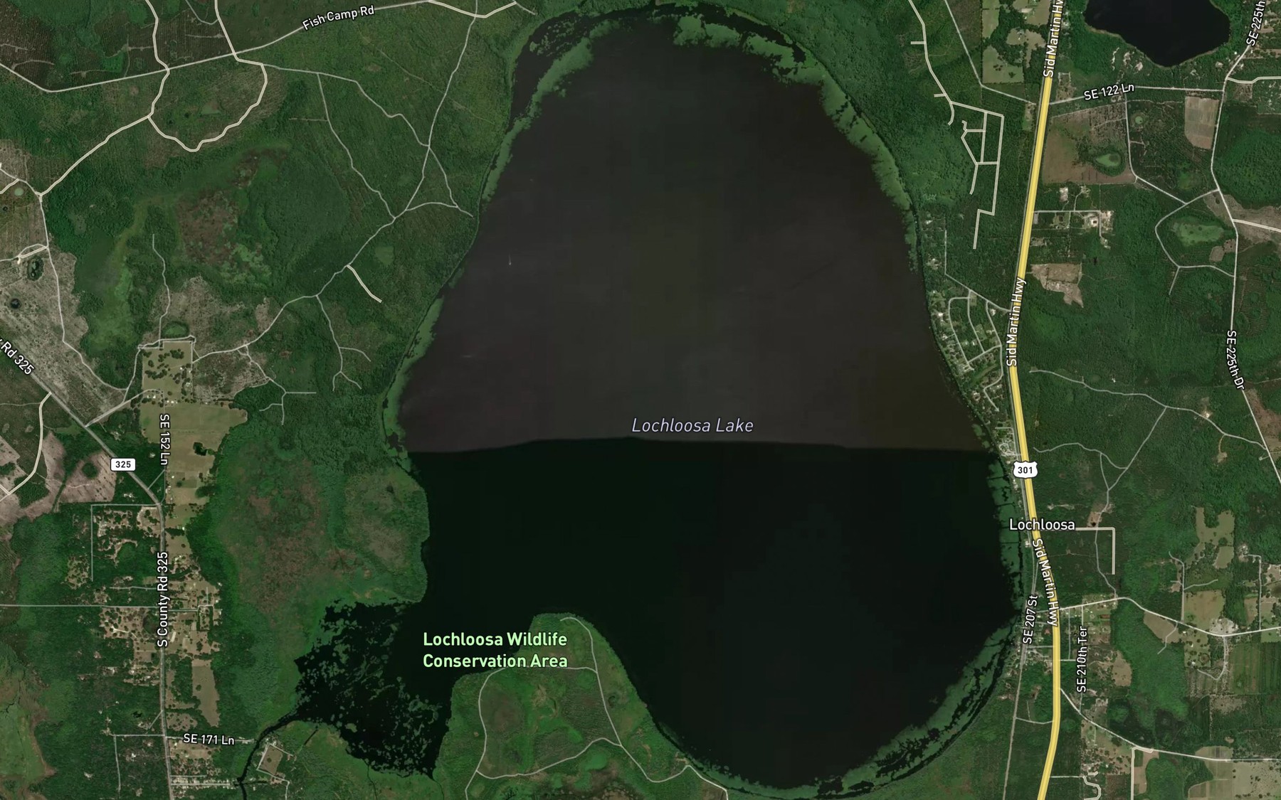 Satellite map of the Lochloosa Lake