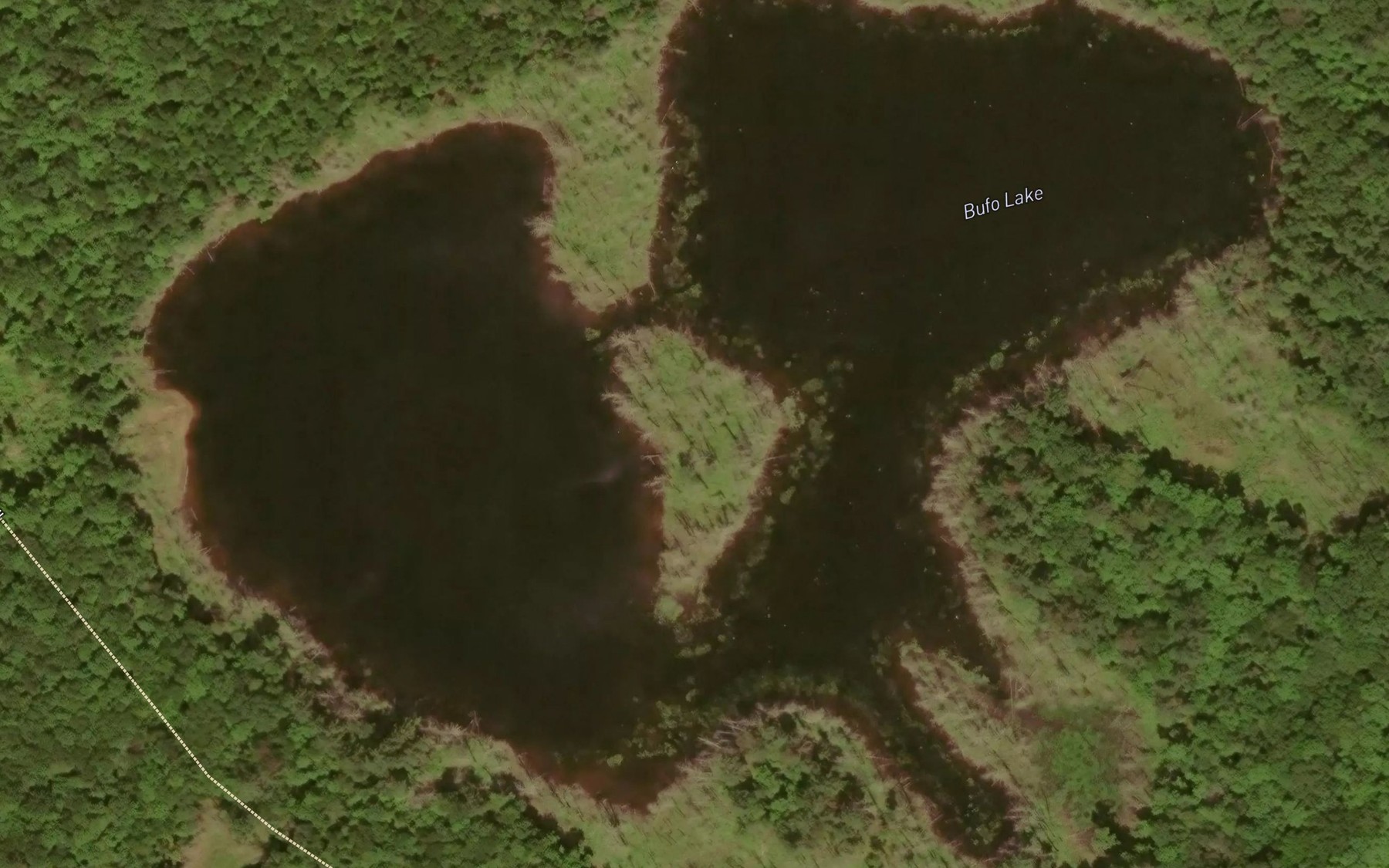 Satellite map of the Bufo Lake