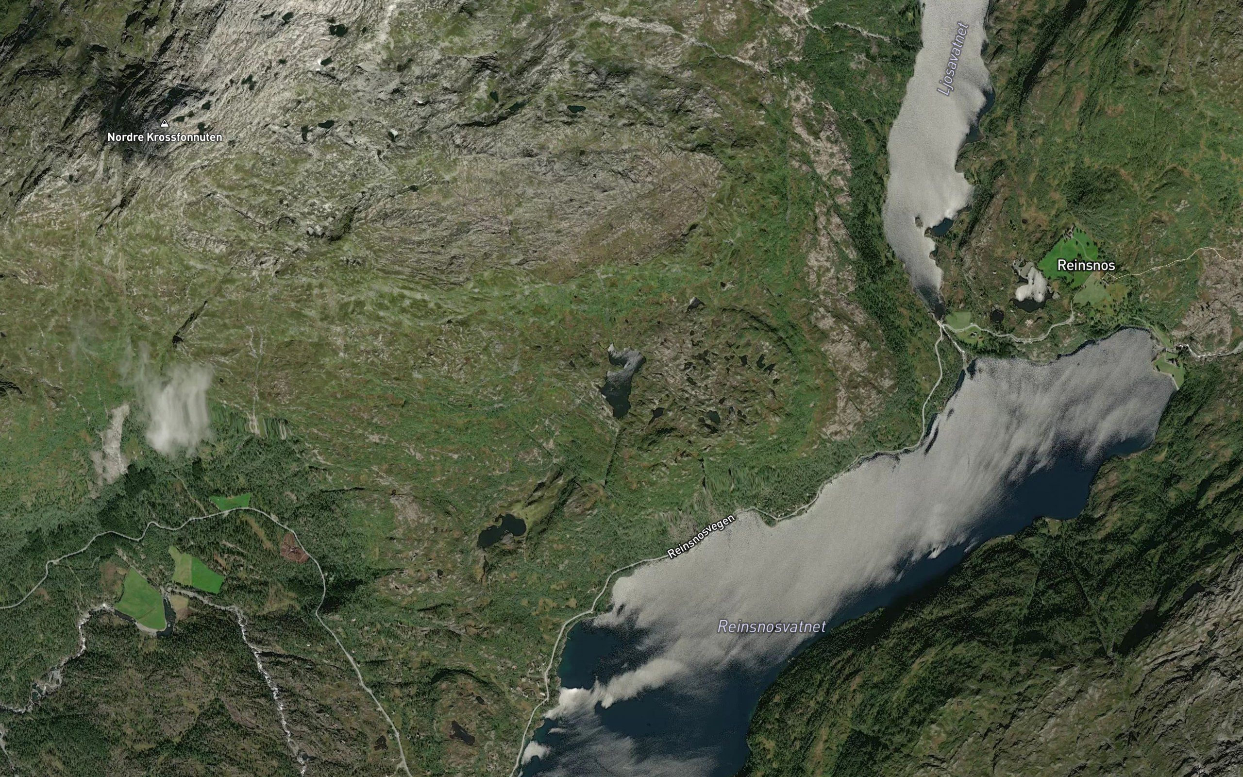 Halsatjorn