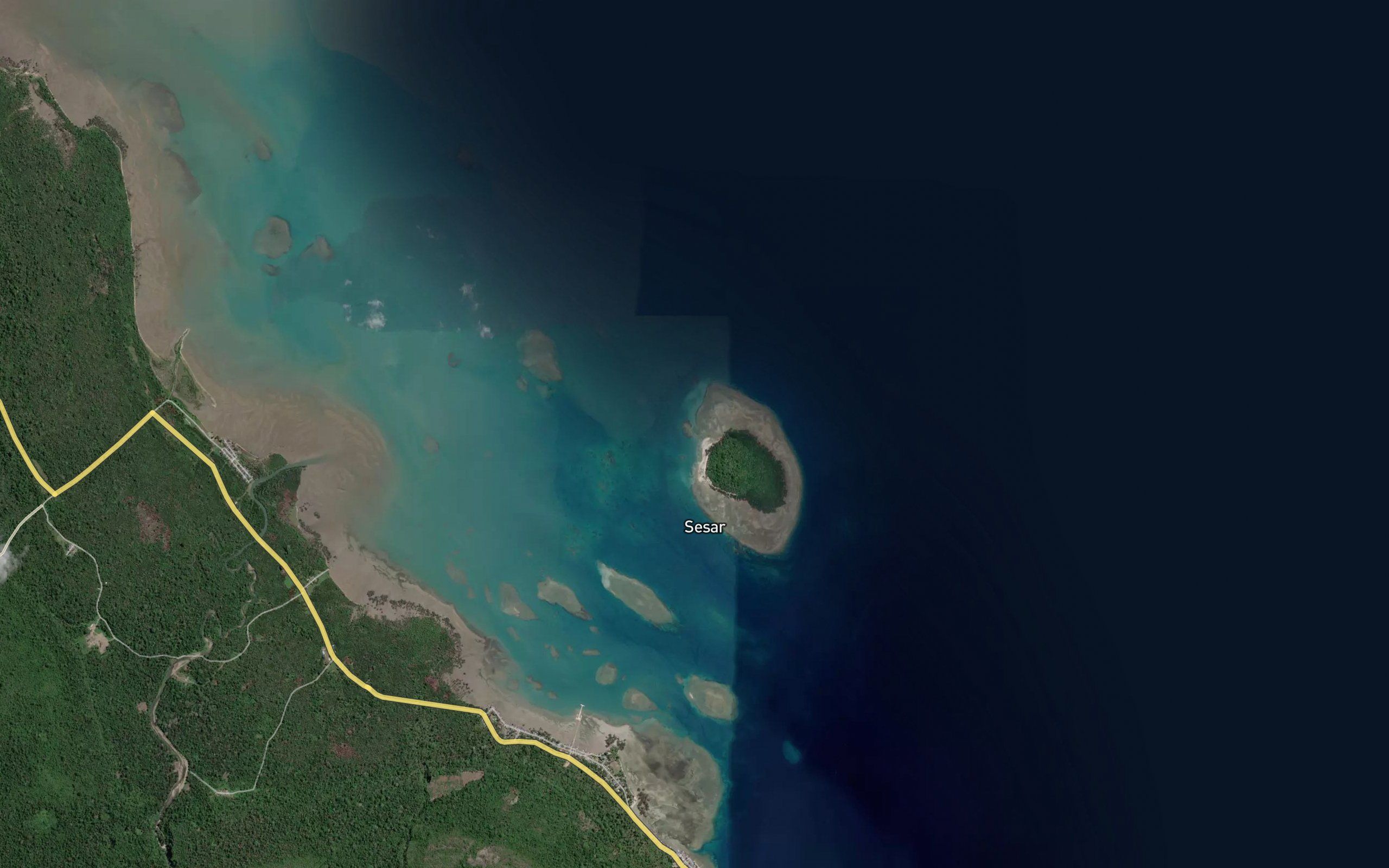 Karang Ulin
