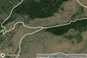 Kayser Spring