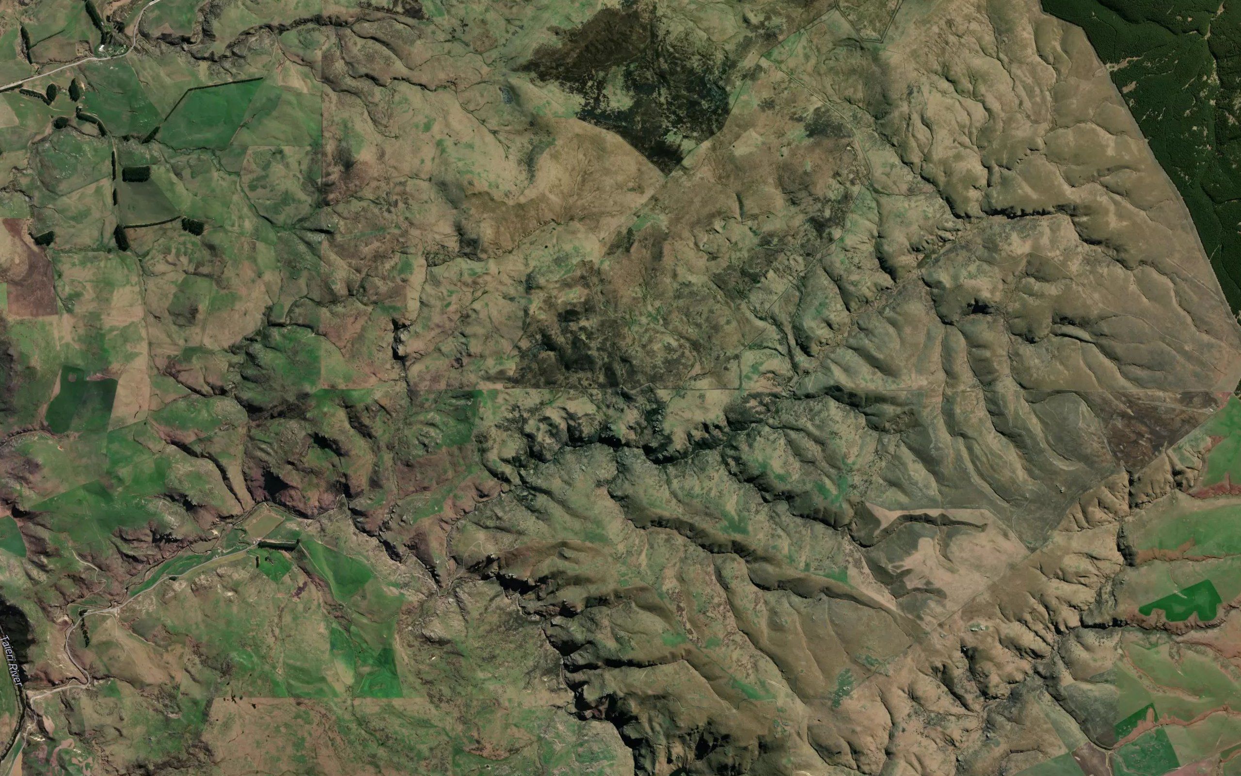 Wild Dog Creek