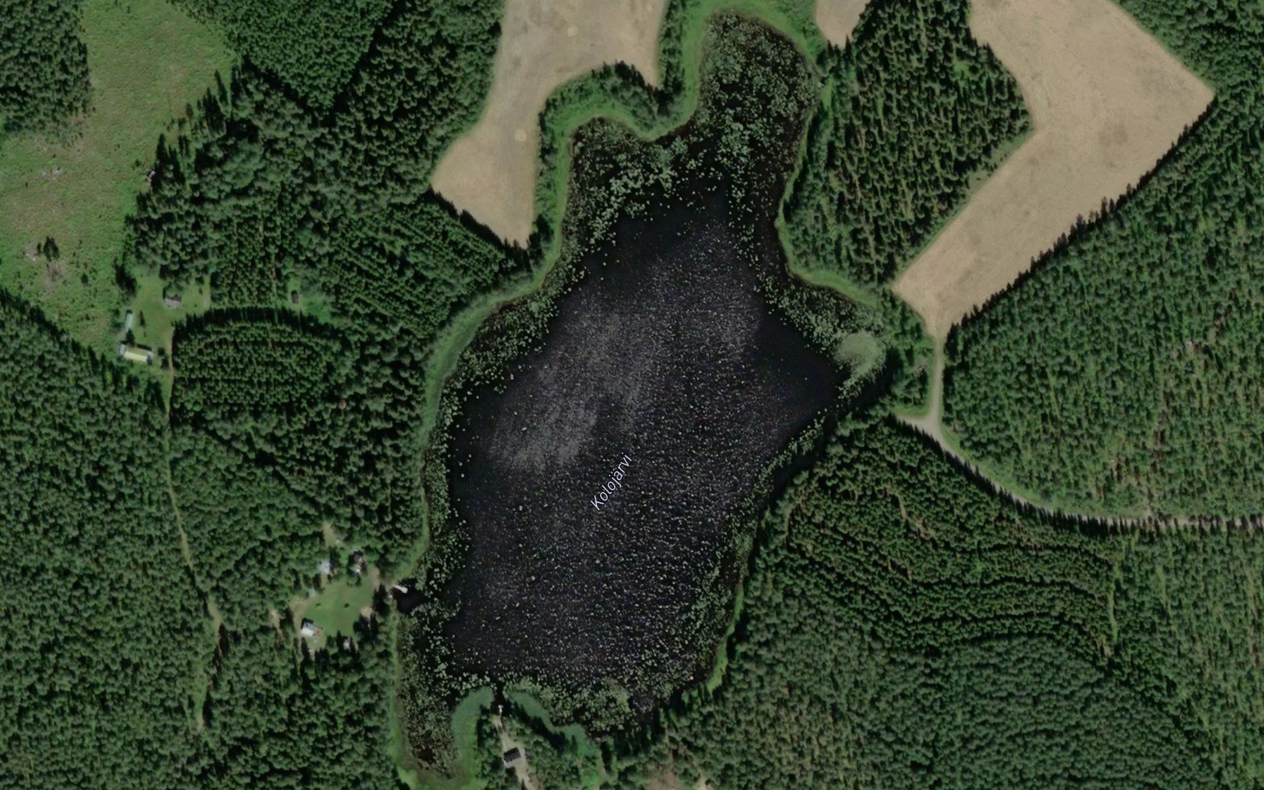 Kolojarvi