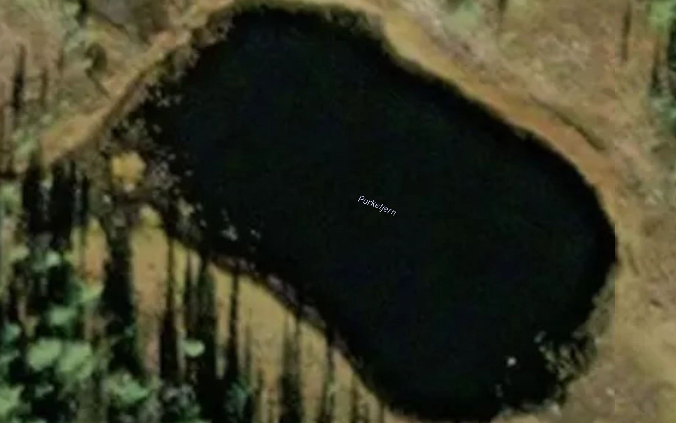 Purketjern