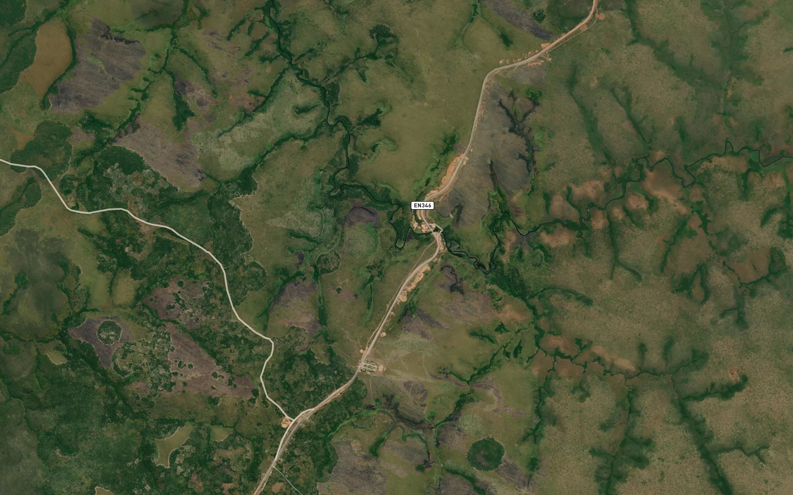 Imbongo