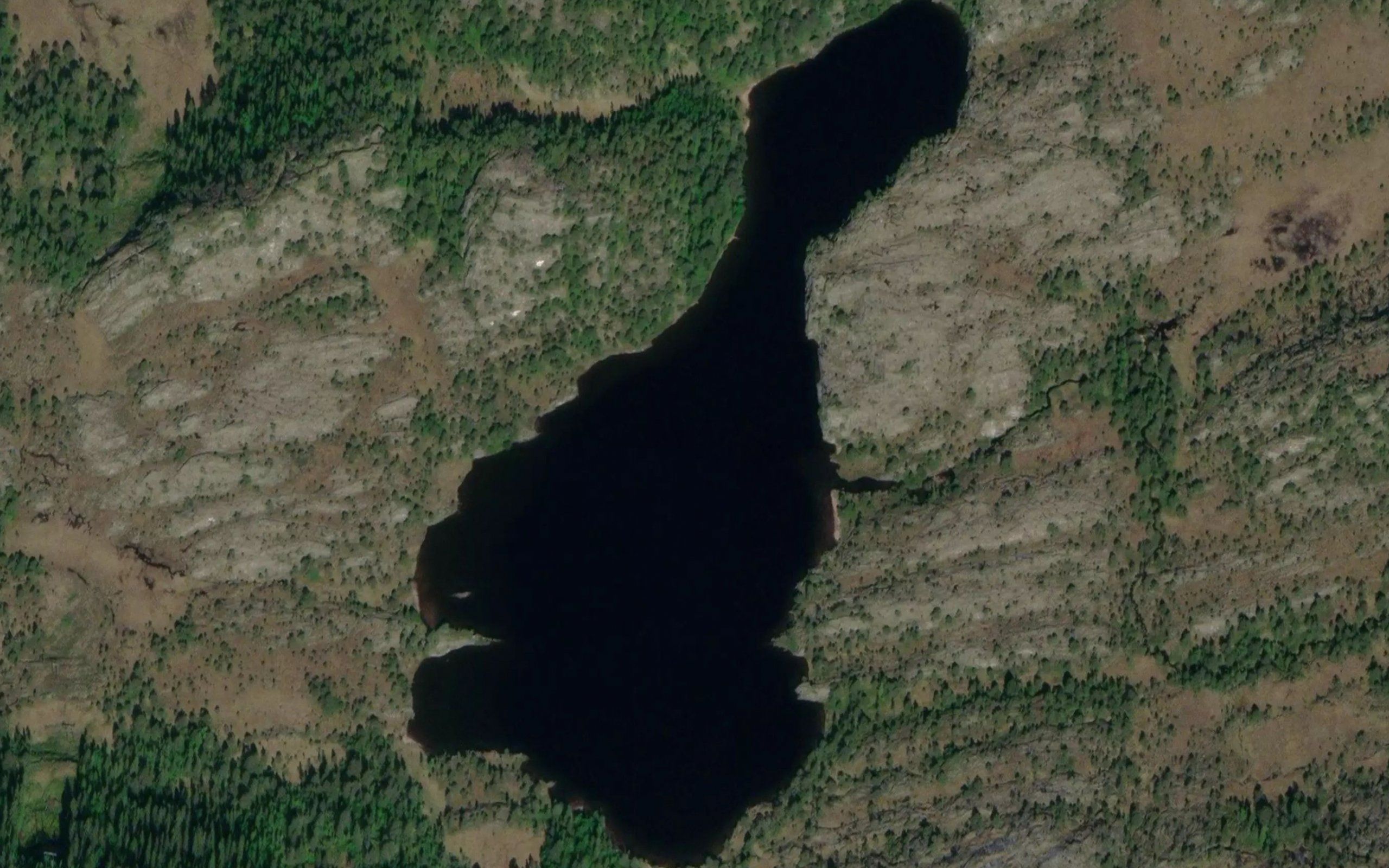 Skogkjerringvatnet