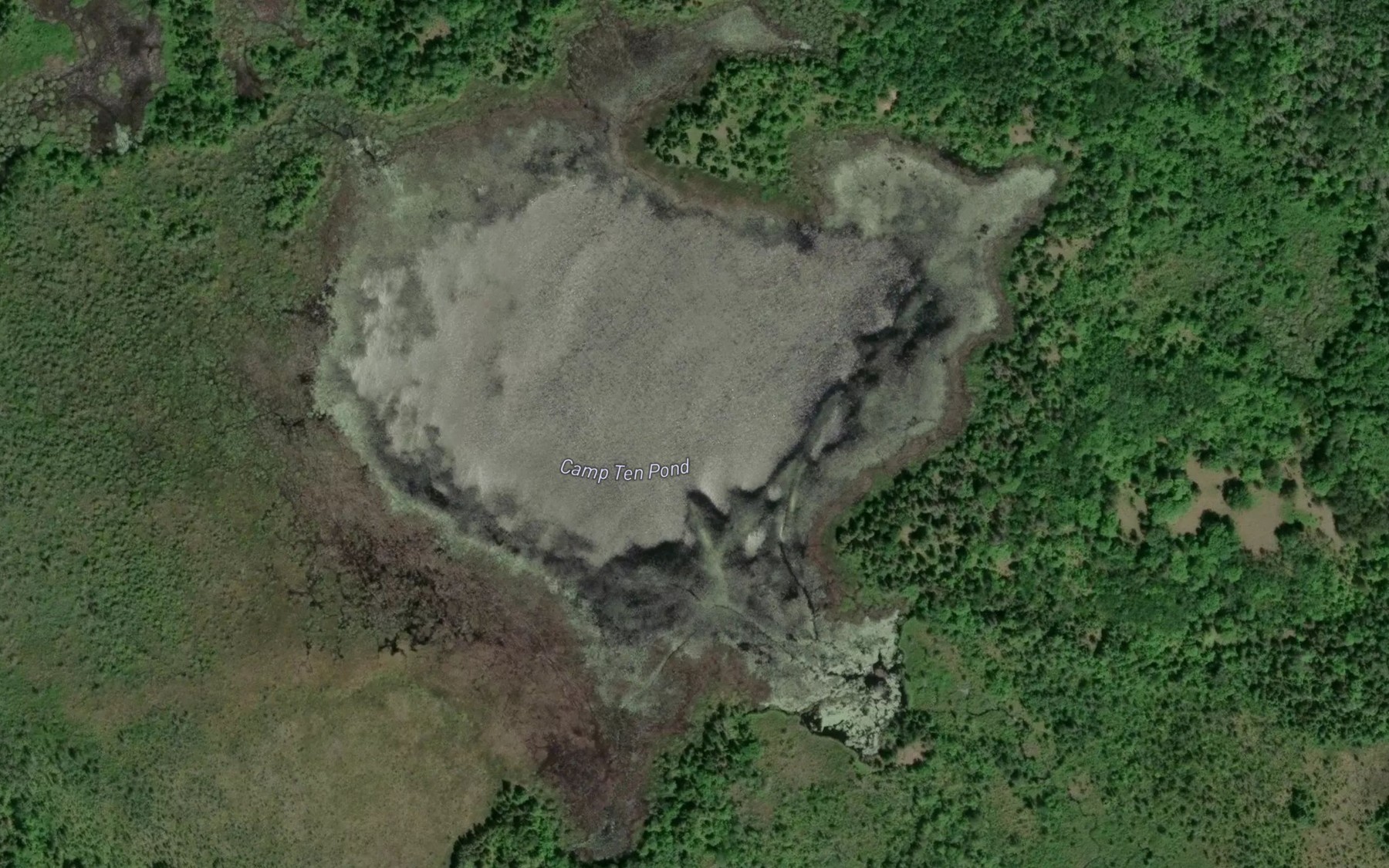 Satellite map of the Camp Ten Pond