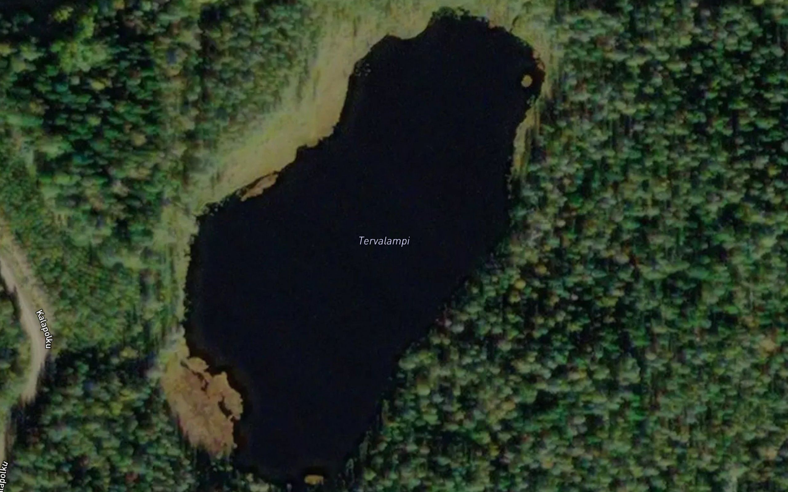 Tervalampi