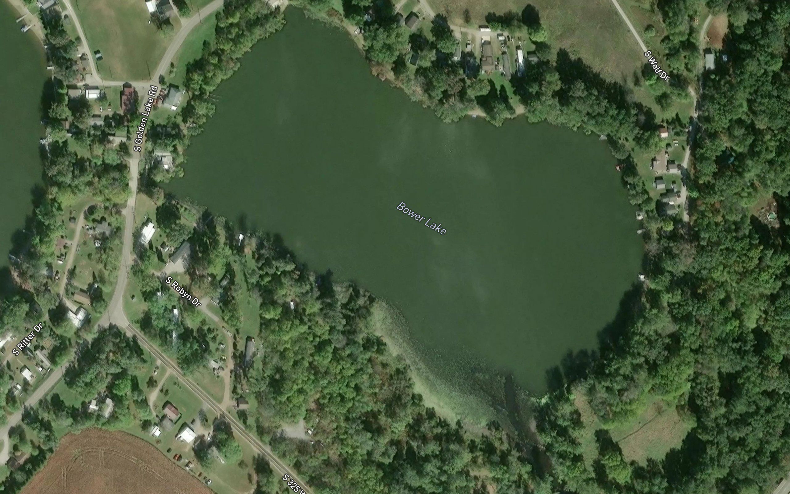 Bower Lake