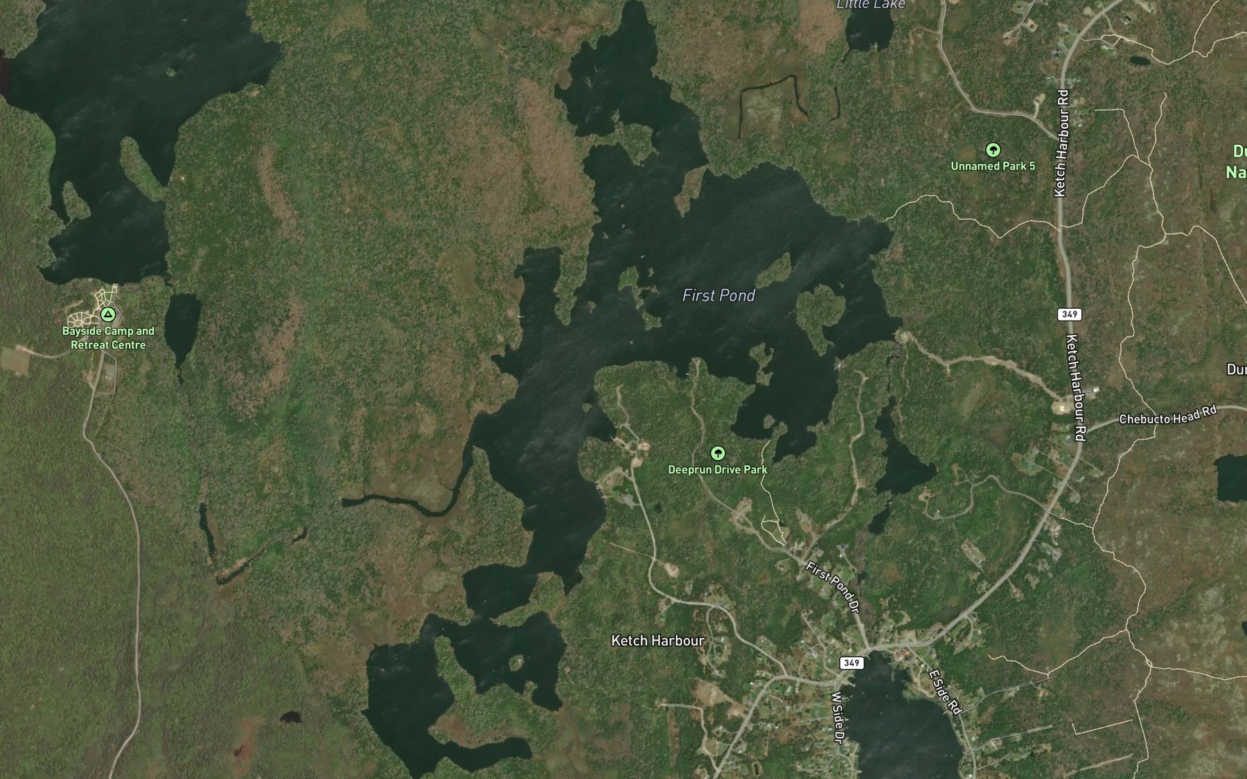 Satellite map of the First Pond