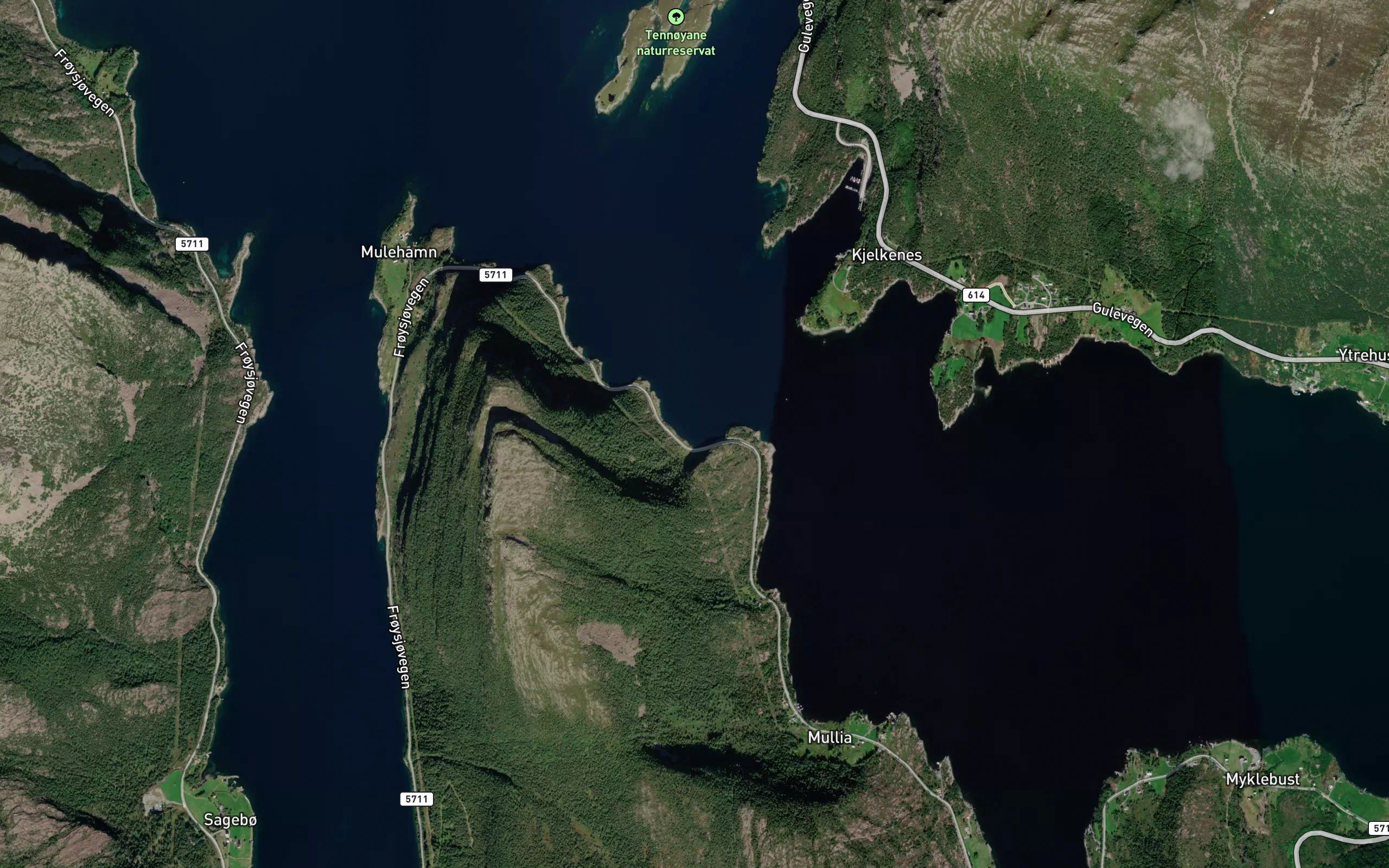 Slenesvika