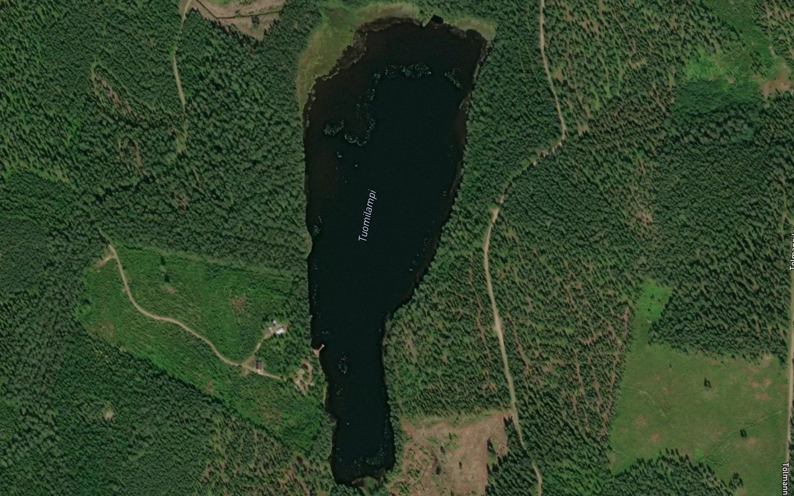 Tuomilampi