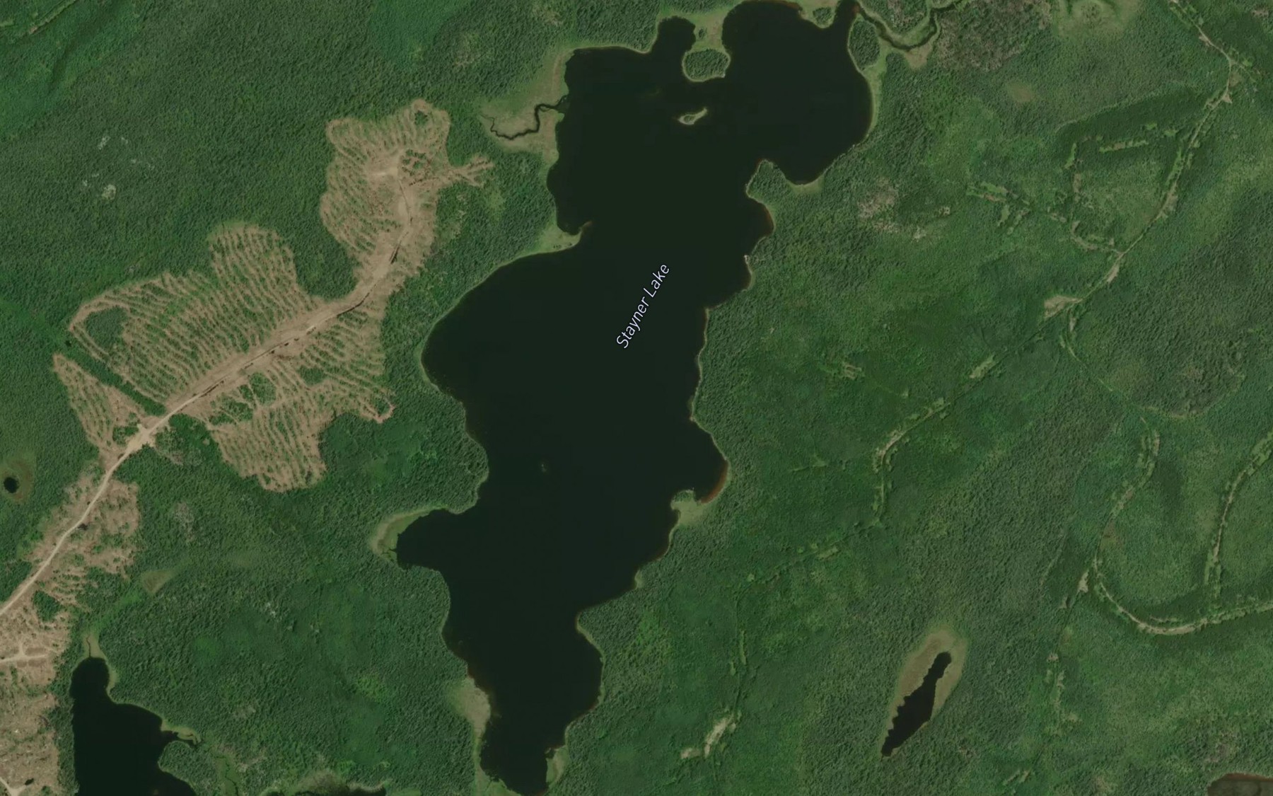 Satellite map of the Stayner Lake