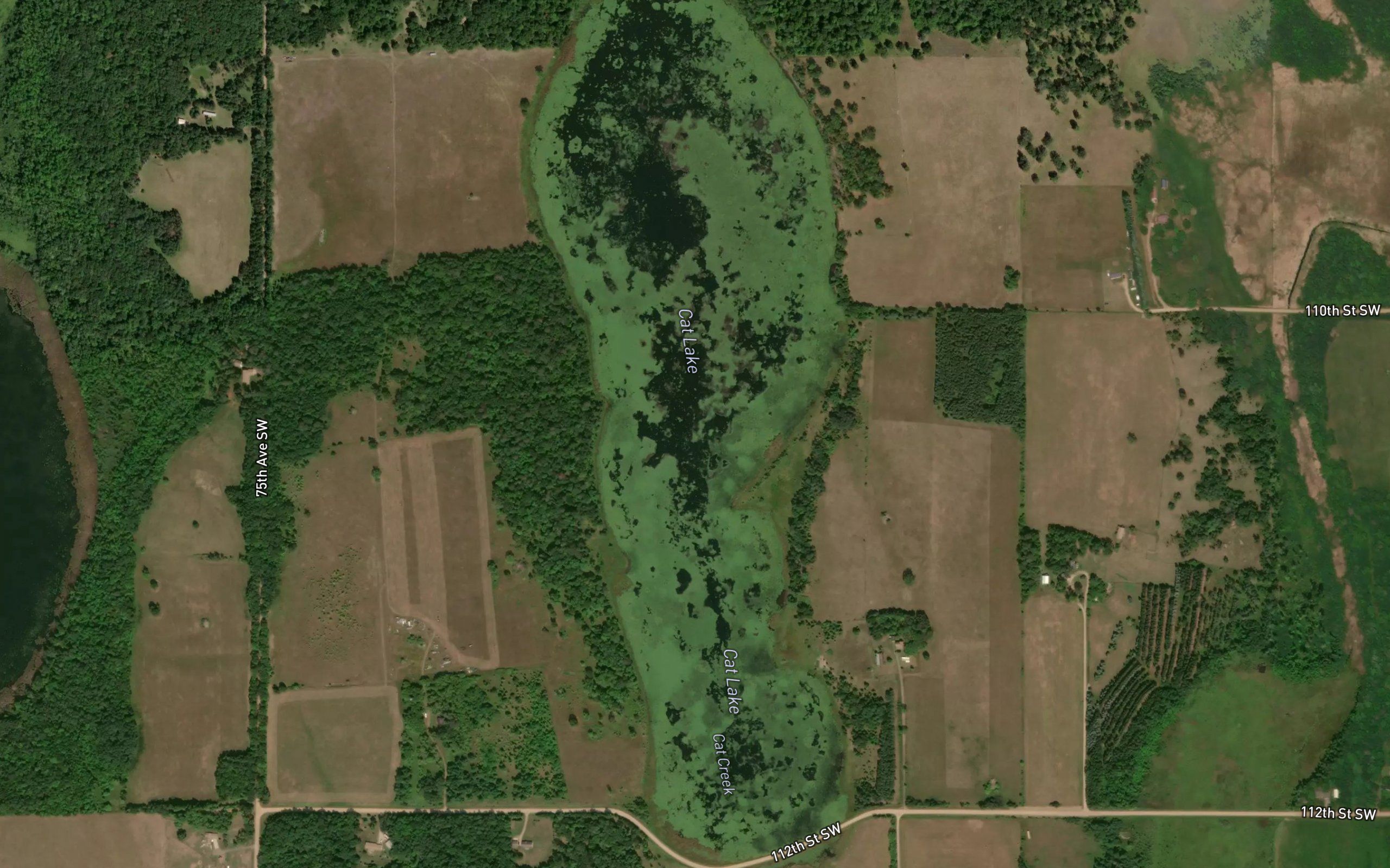 Cat Lake