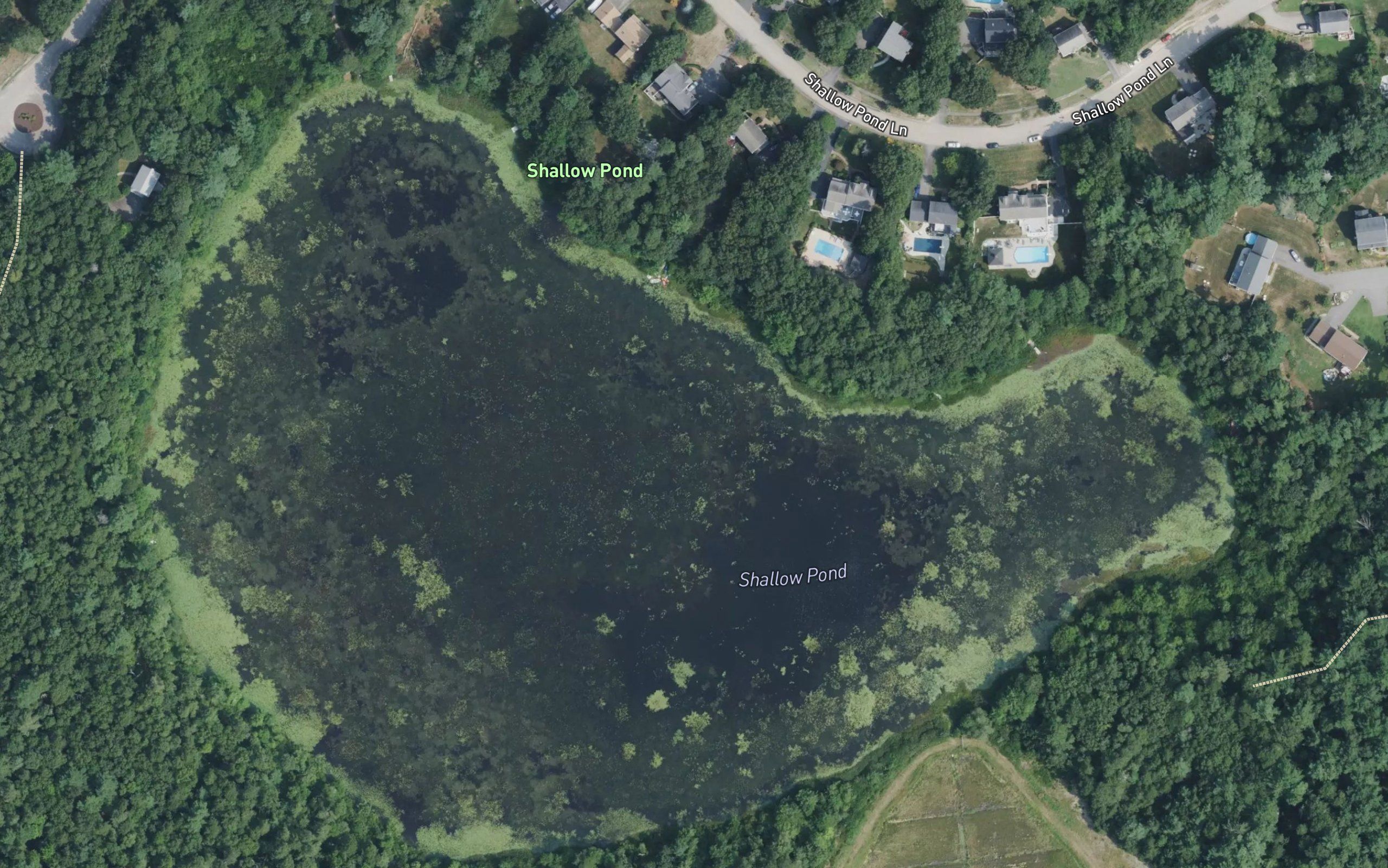 Shallow Pond