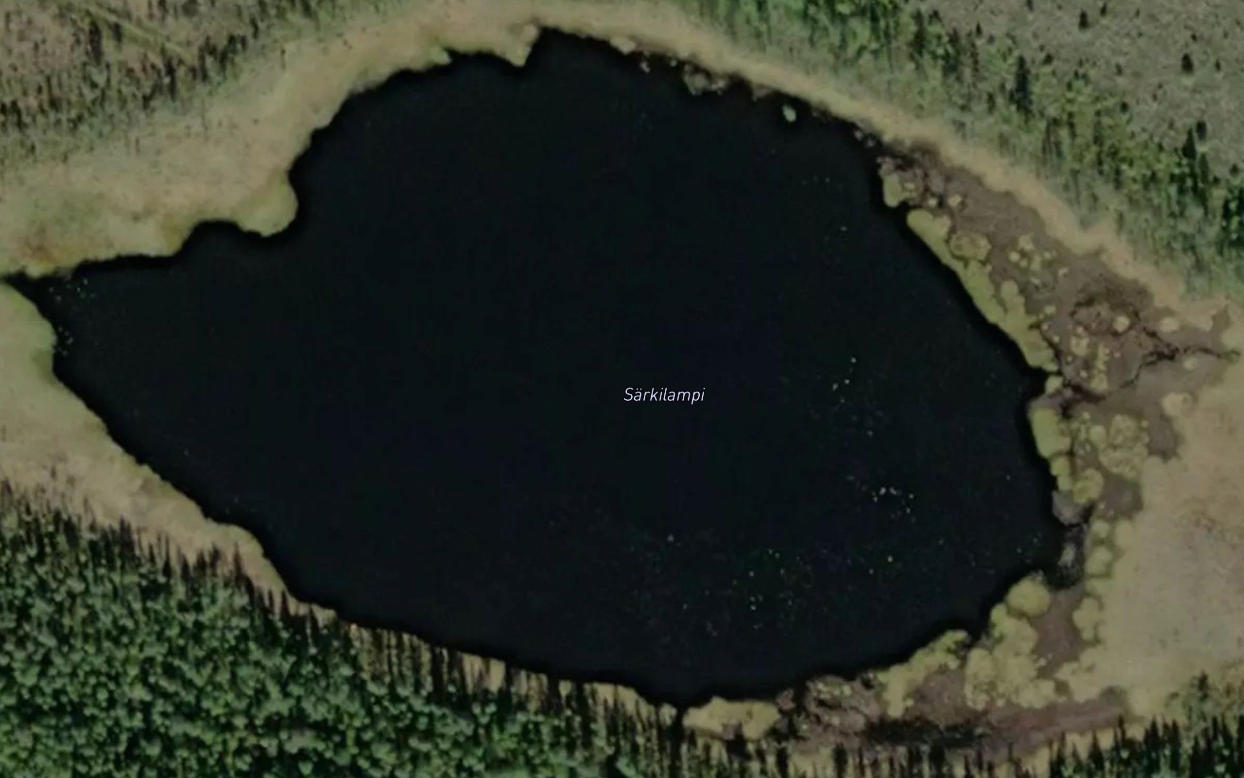 Sarkilampi