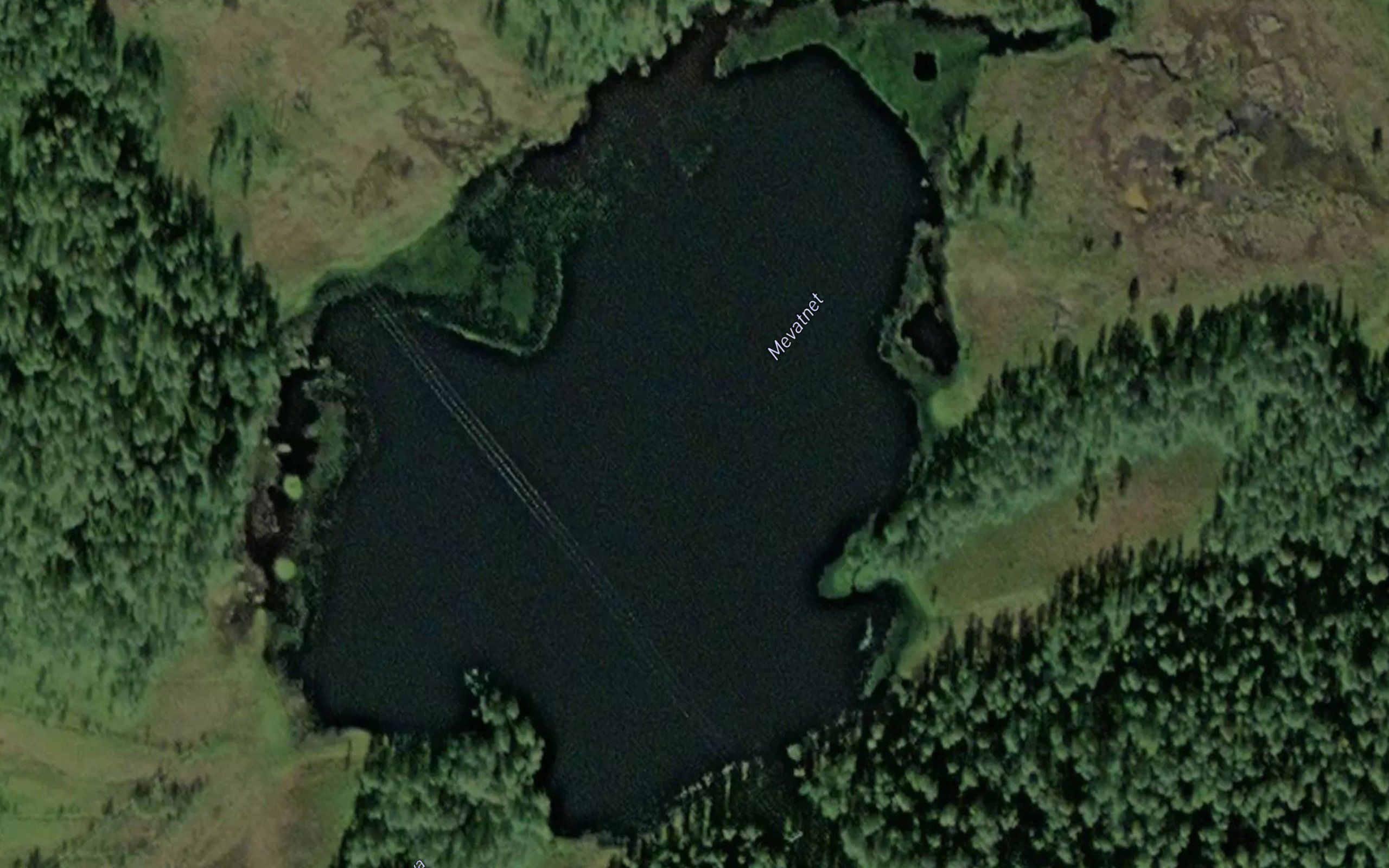 Mevatnet