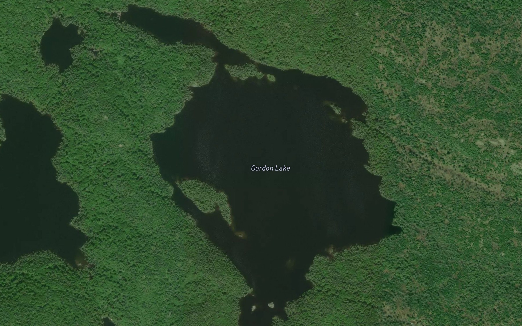 Satellite map of the Gordon Lake