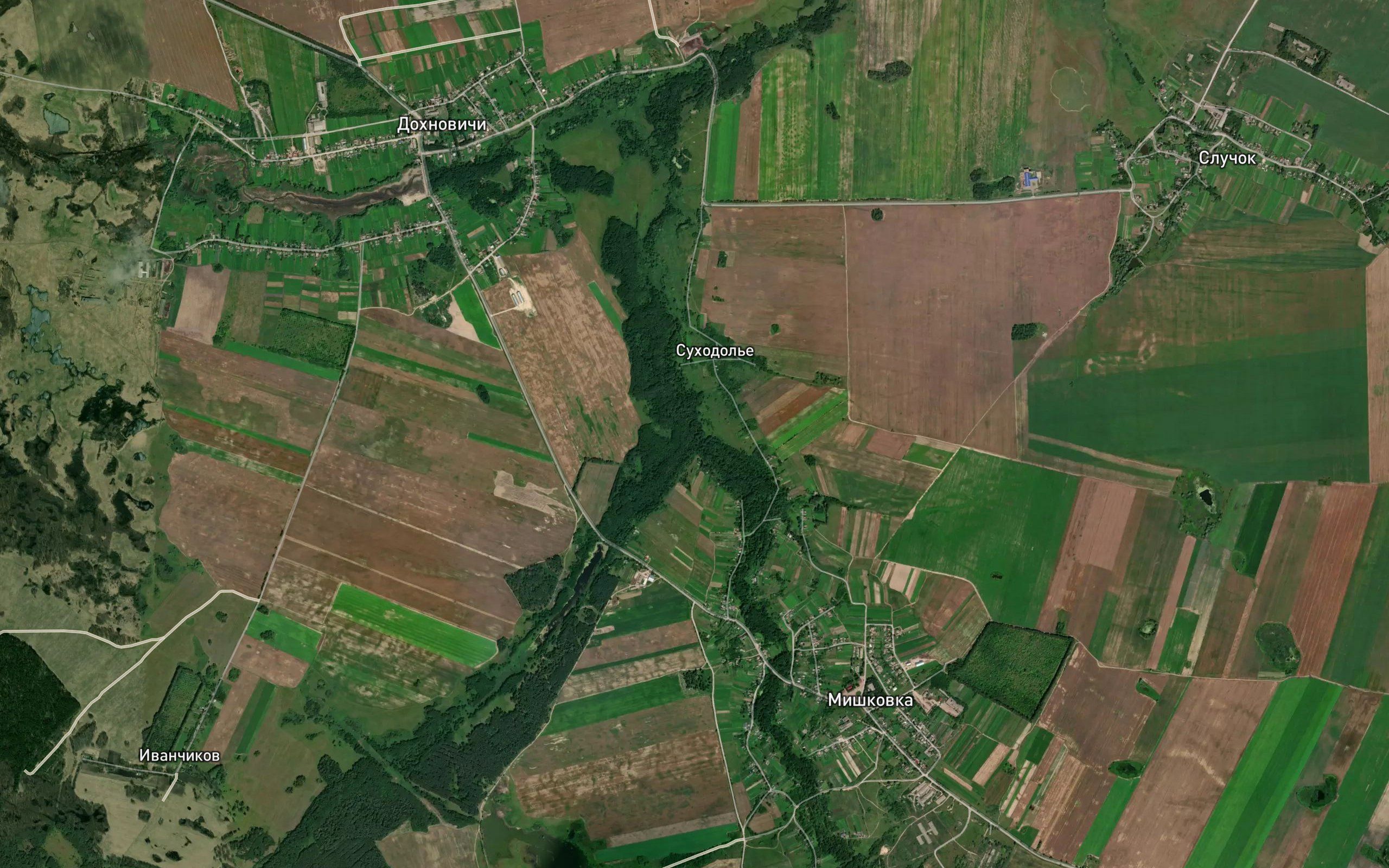 Zhdankovka