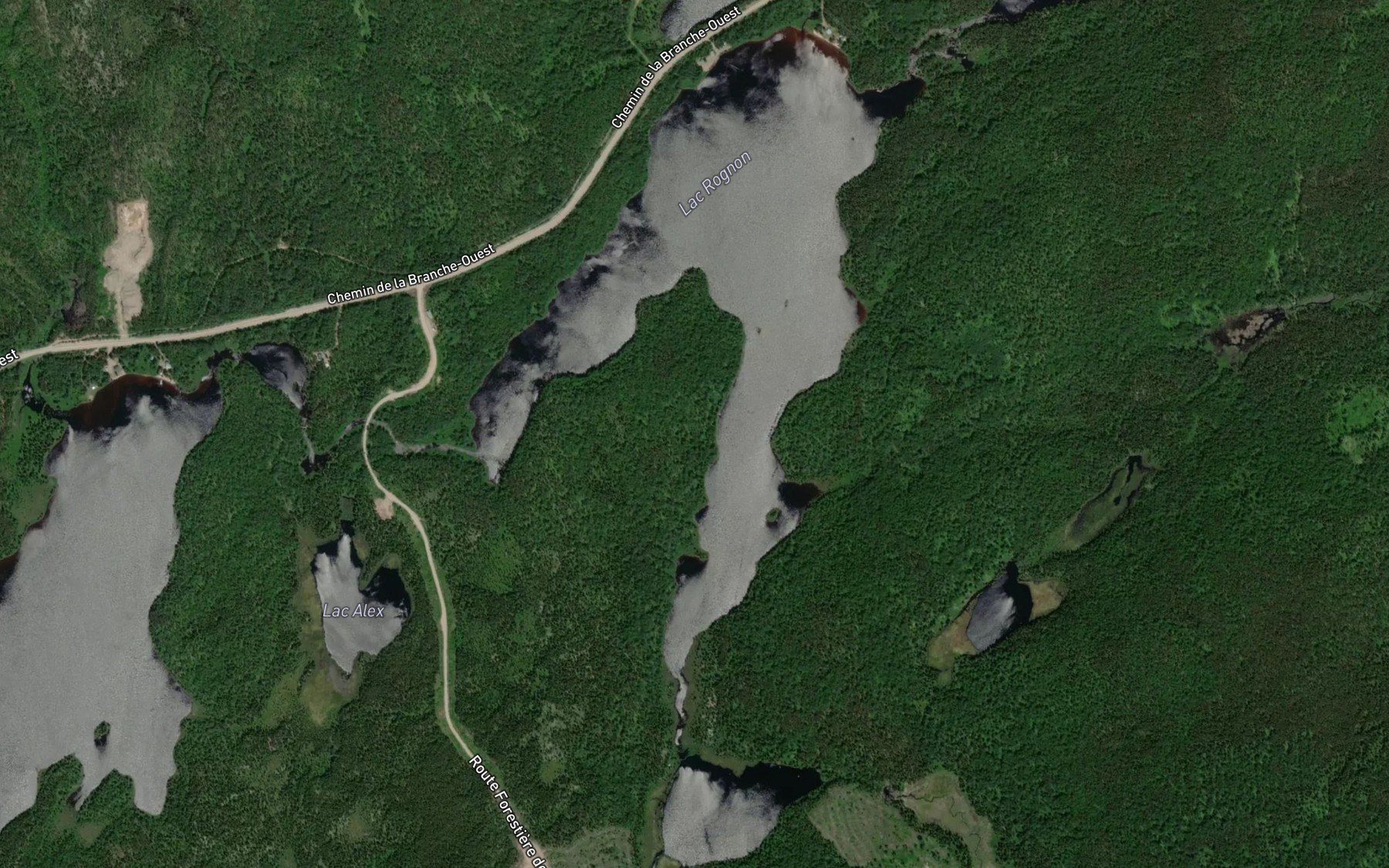 Satellite map of the Lac Rognon