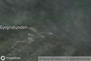 Kubbevika